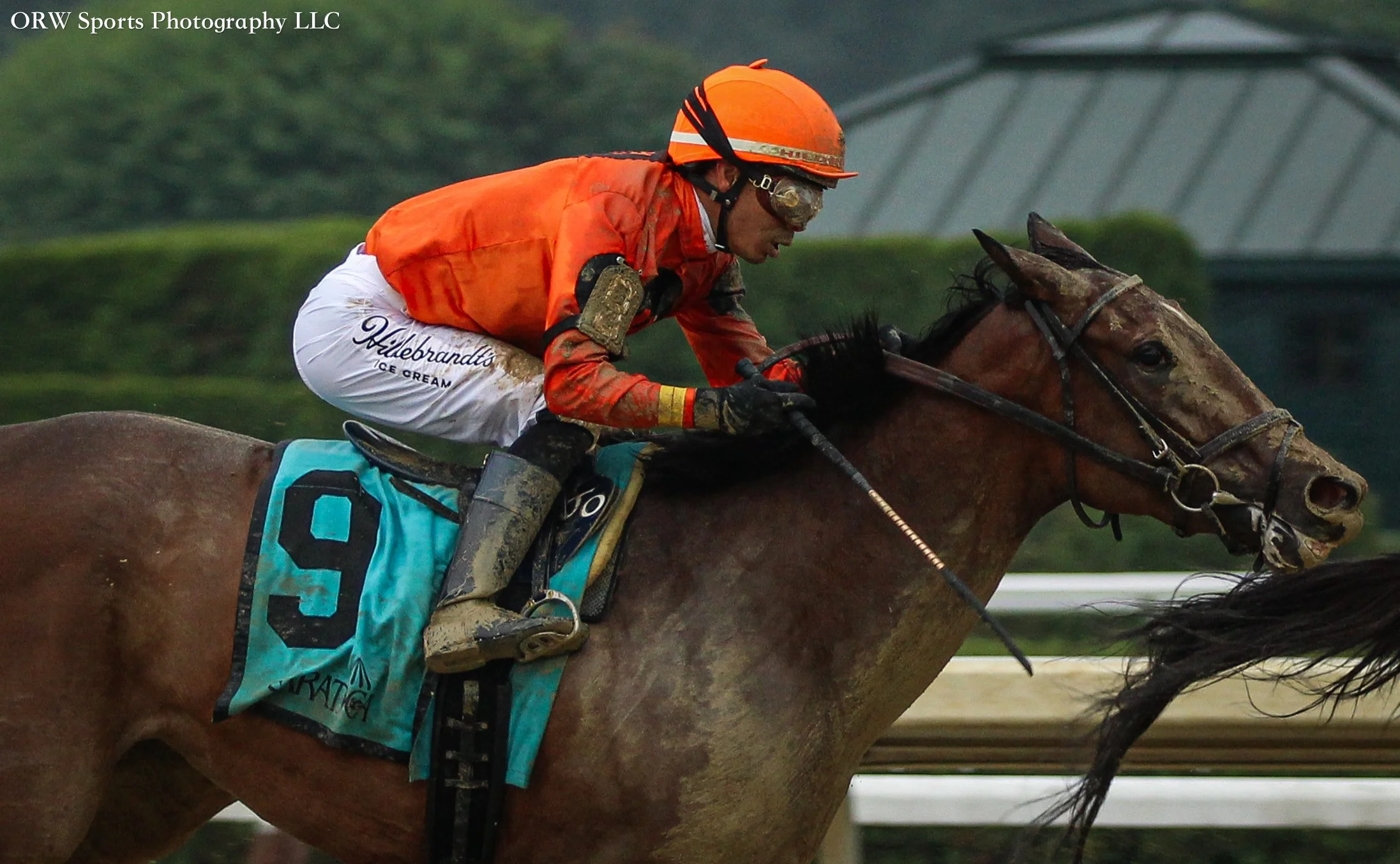 Jose Ortiz and Combat Move
