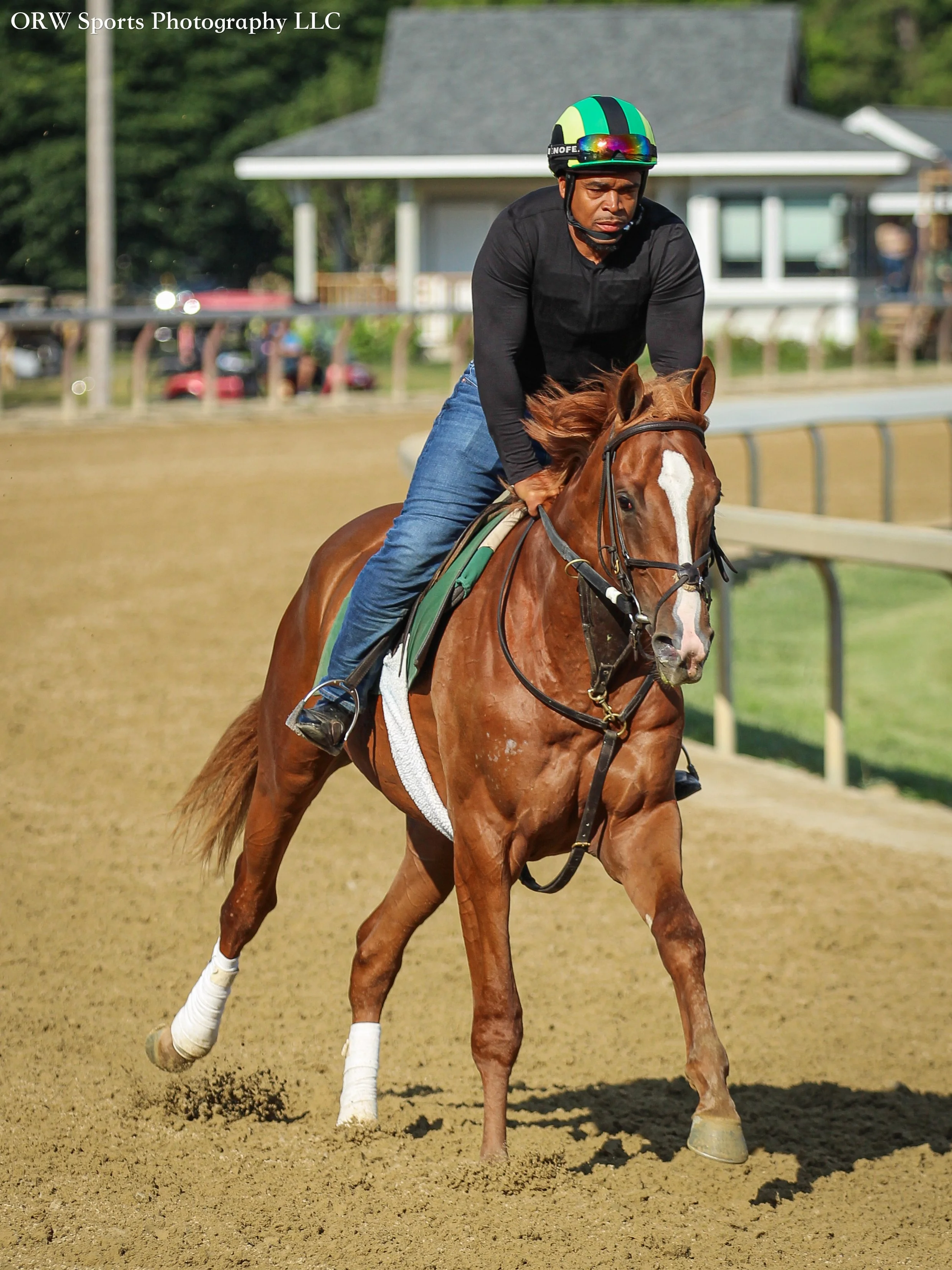 Bill Mott Trainee