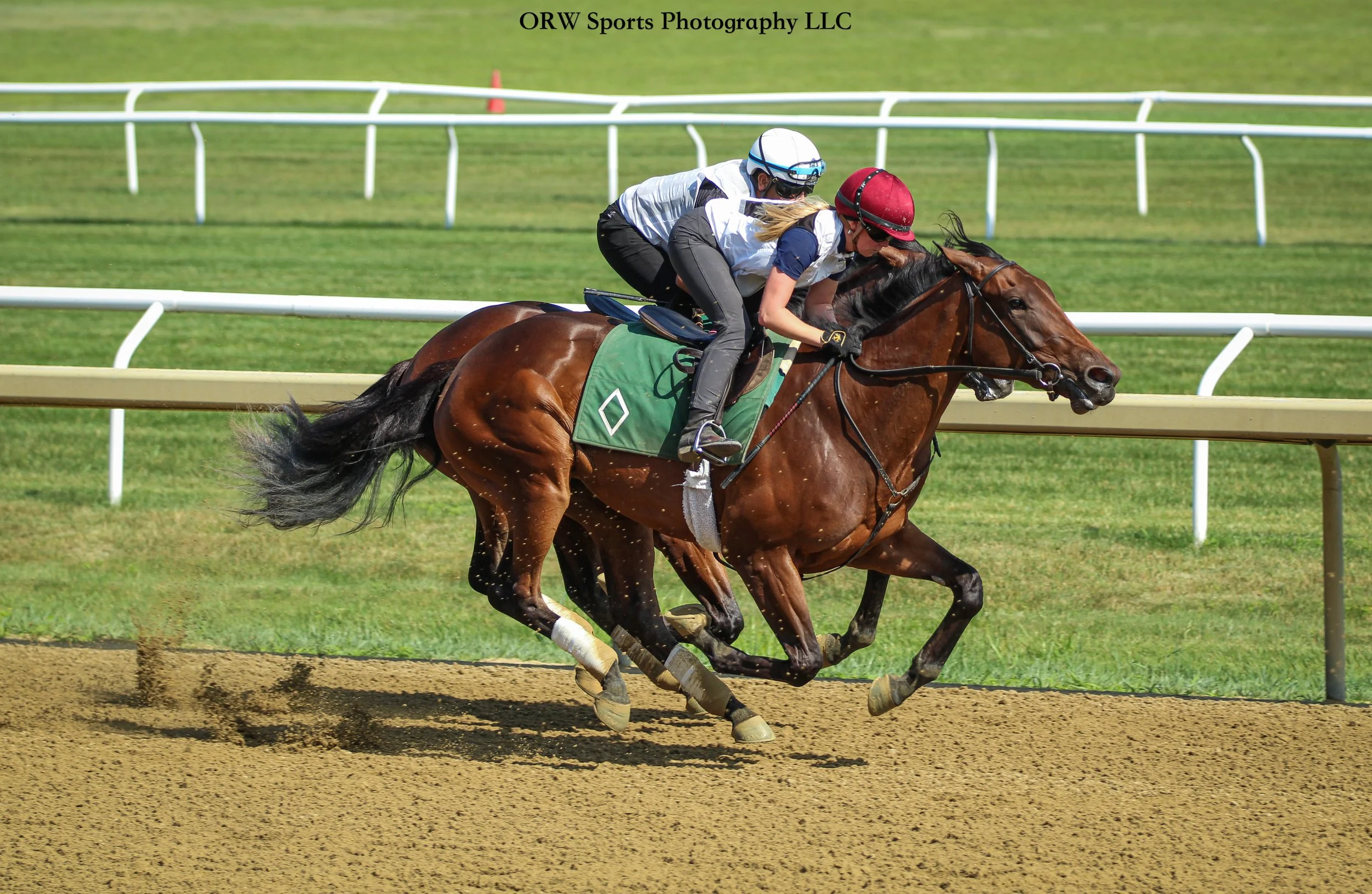 Bill Mott Trainee
