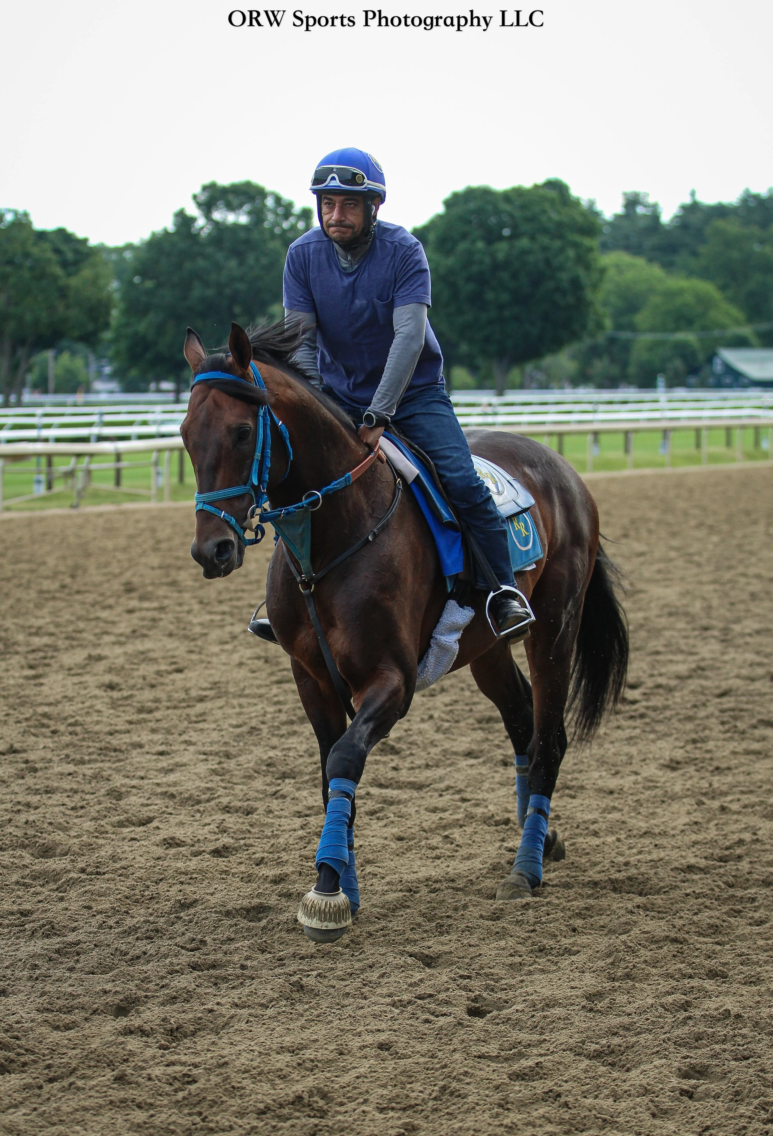 Rudy Rodriguez Trainee