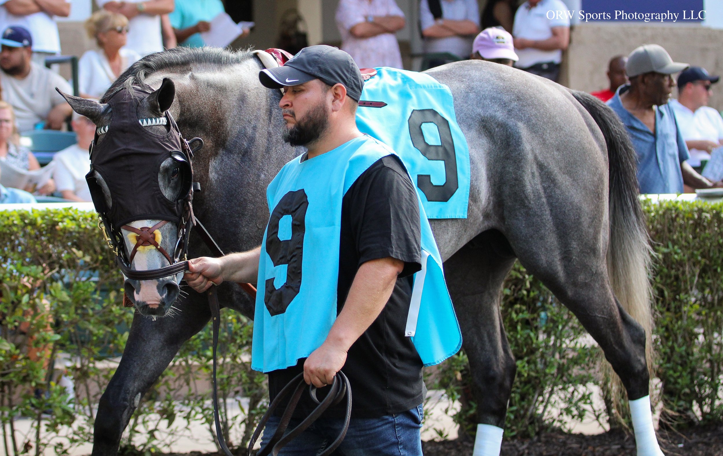 Whine Country (3).jpg