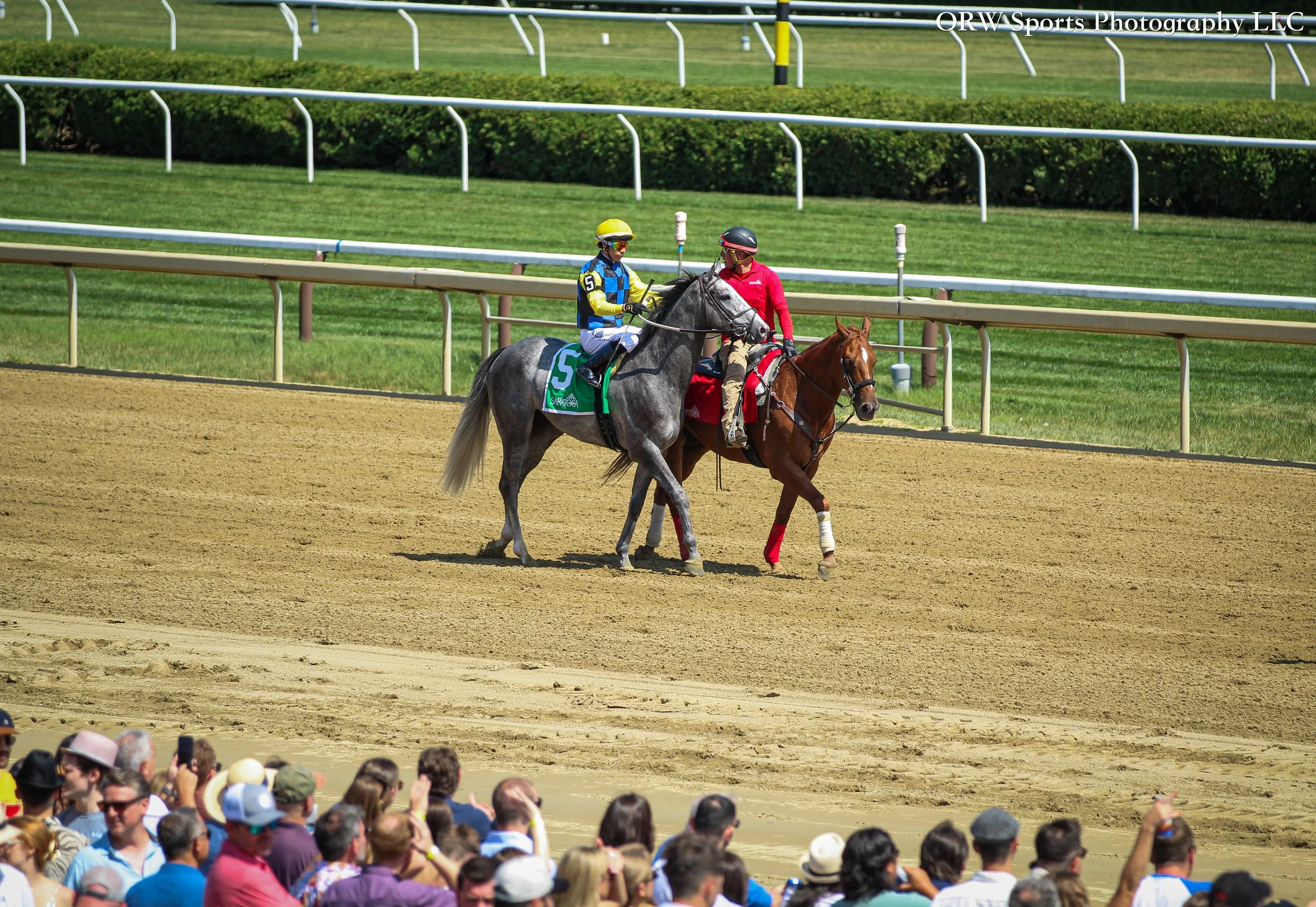 Go Grey and Jose Ortiz 