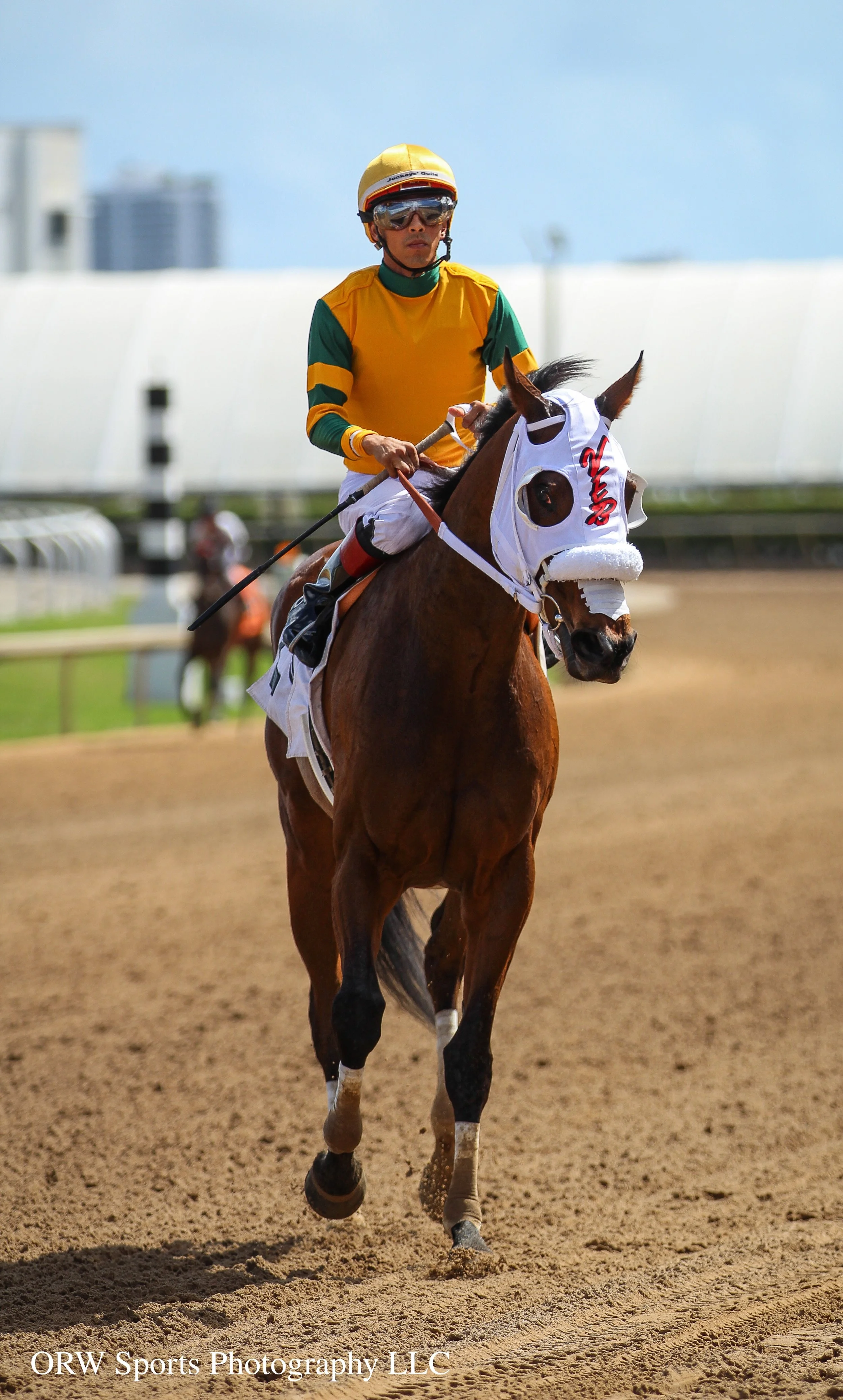 Vuela Paloma translates to "fly dove" 