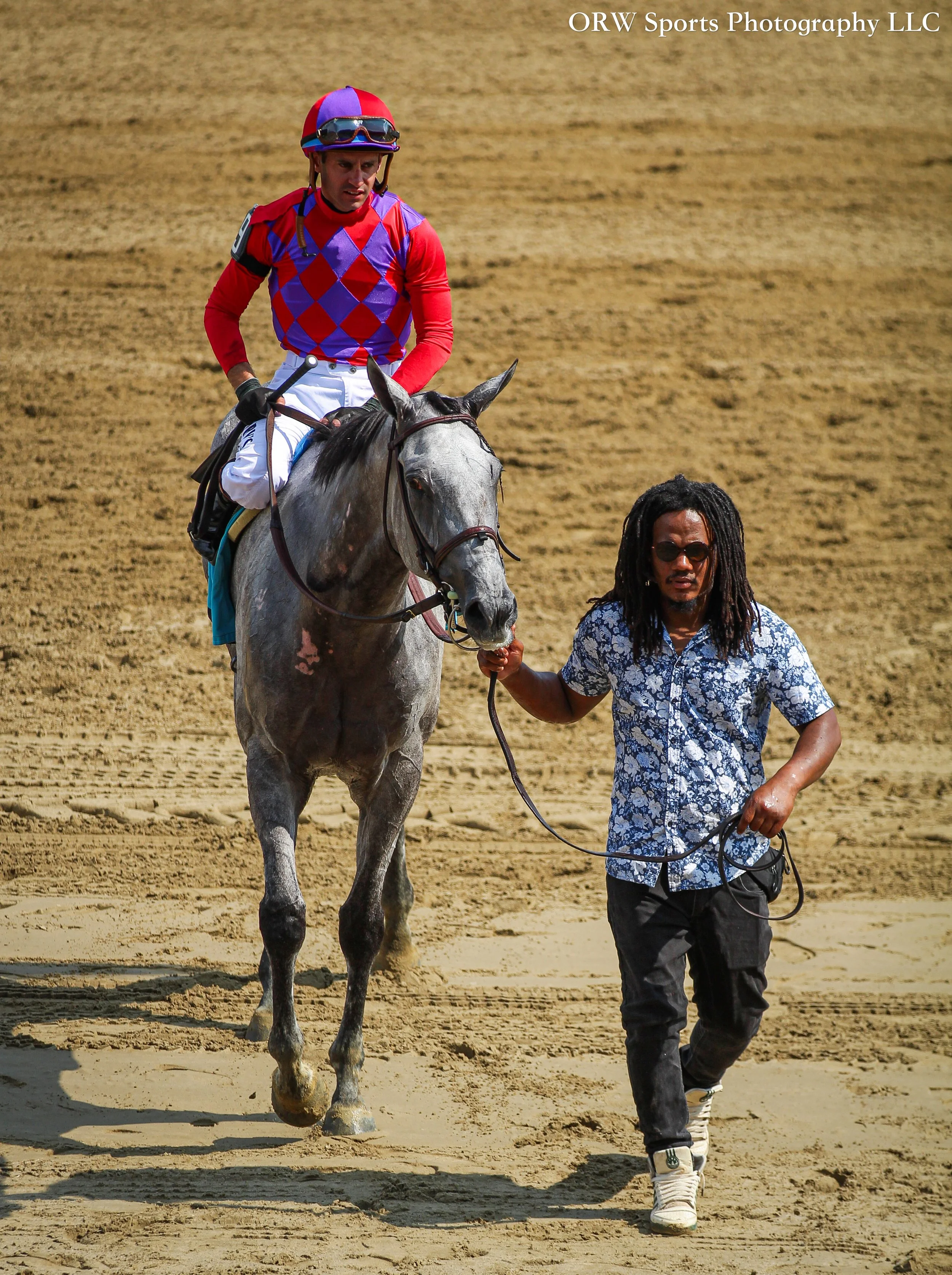 race winners 