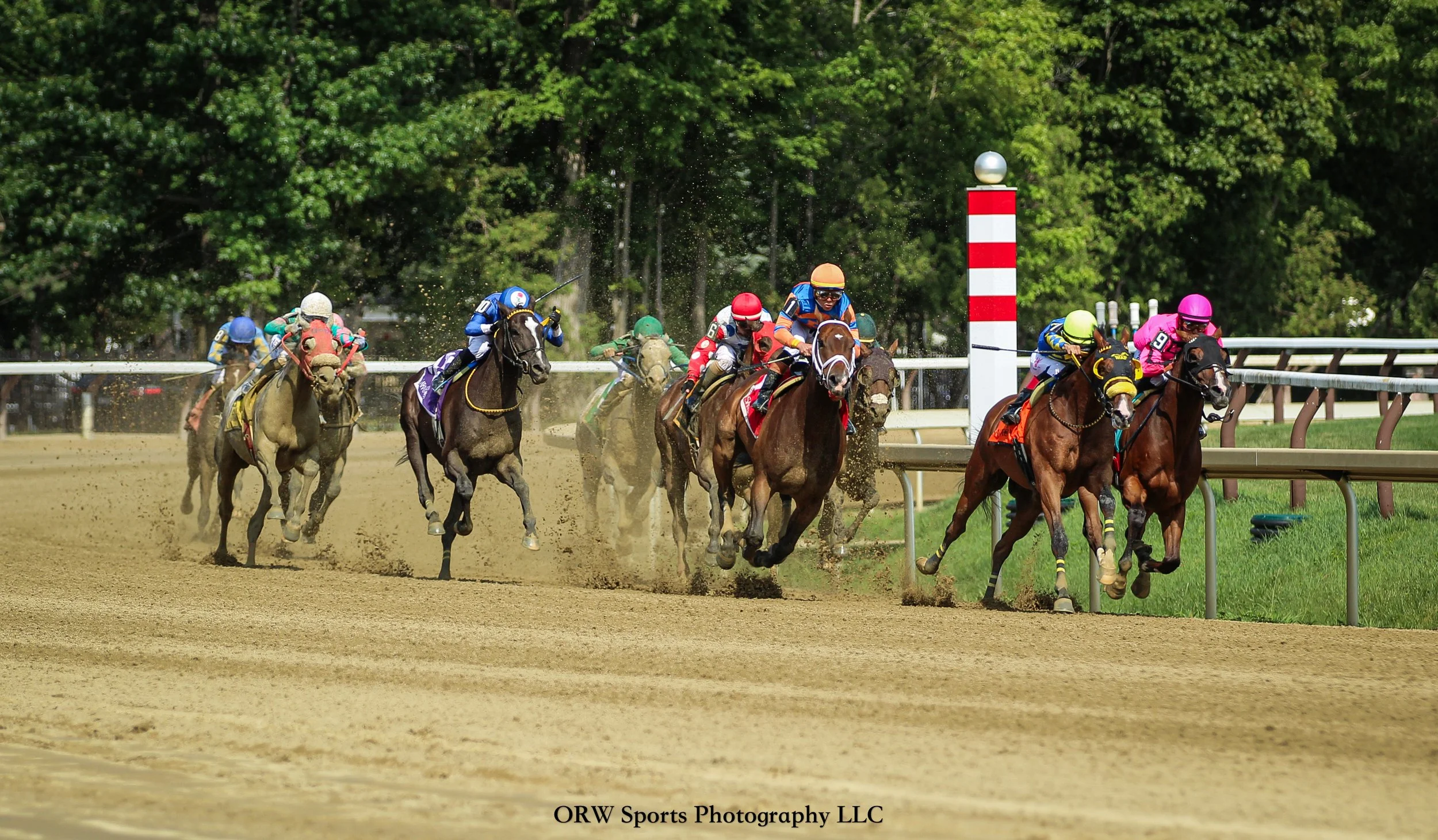 Race 6 