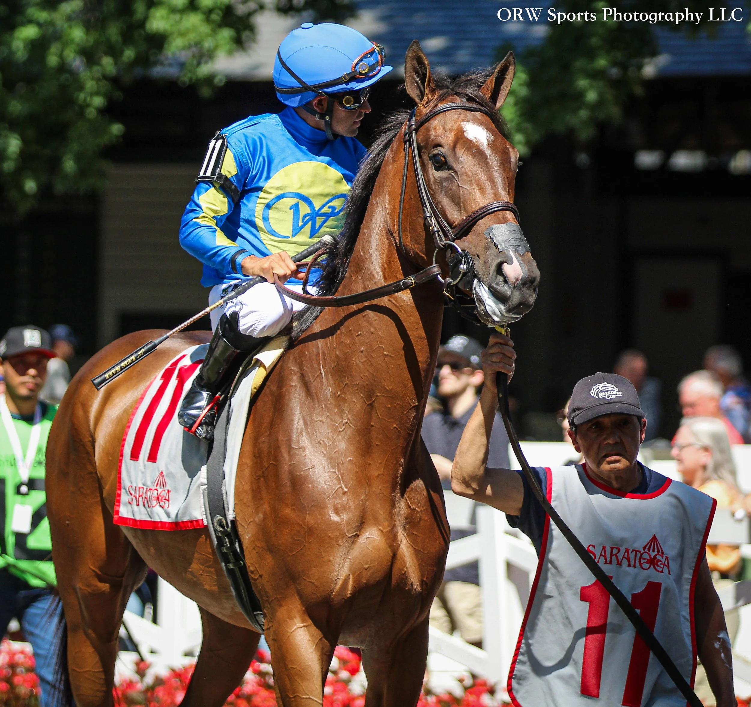 Axis Point and Luis Saez