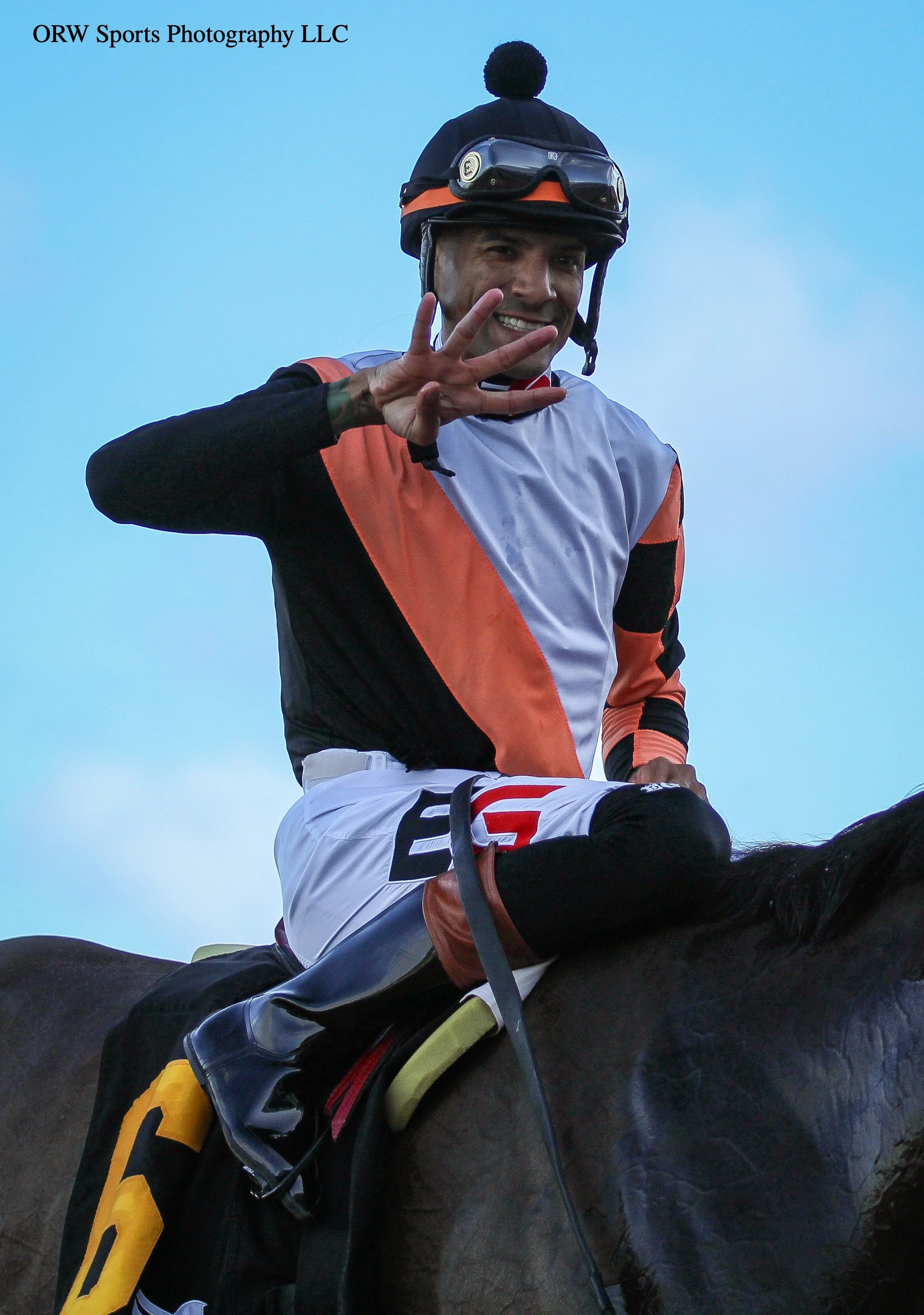 {Watkins Diamond Stables LLC} 