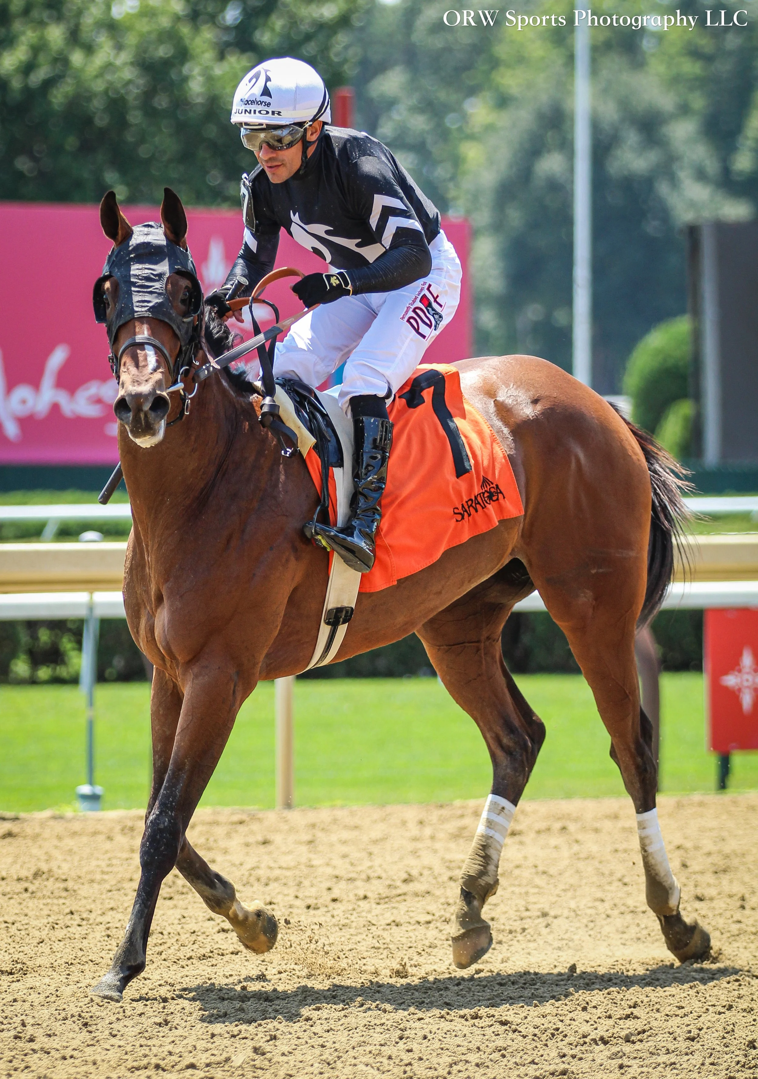 Elevated finished fourth in her debut. I'm pleased with the effort considering recent events, and she has learned along the way. 