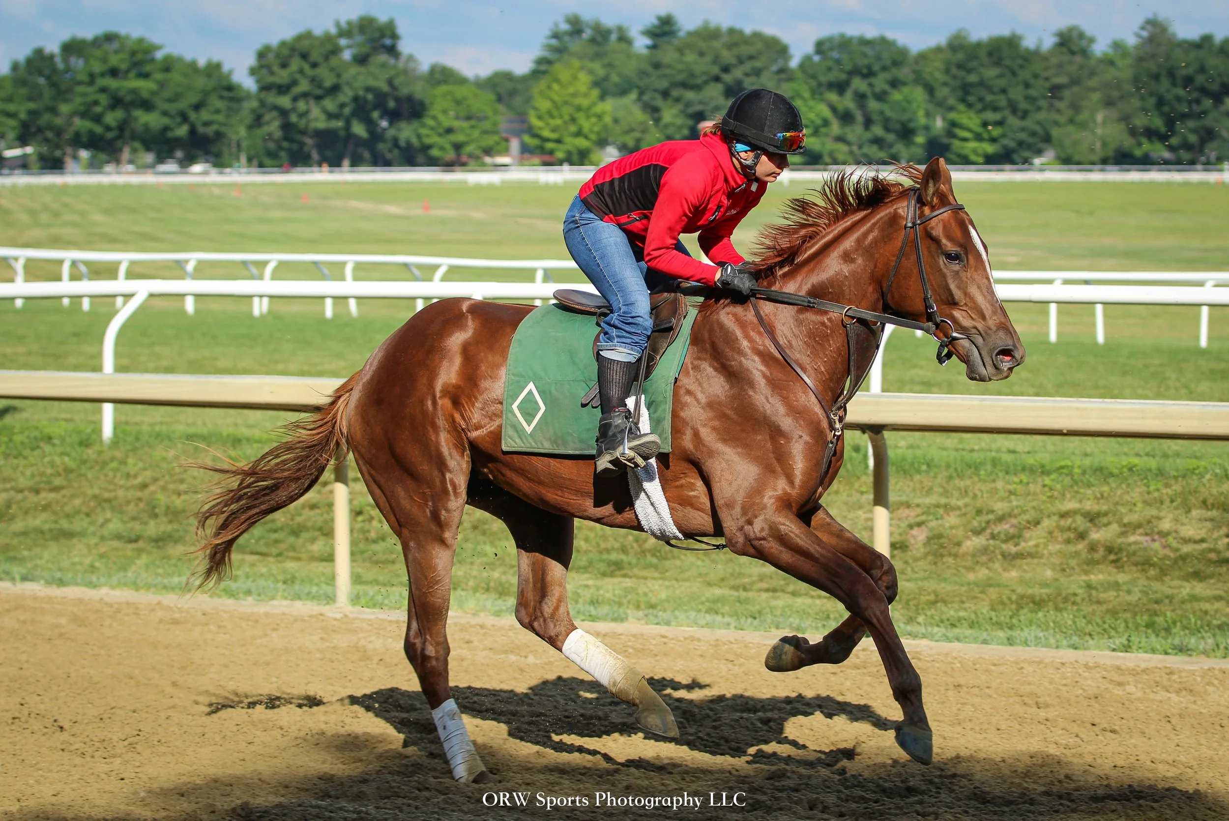 Bill Mott Trainee