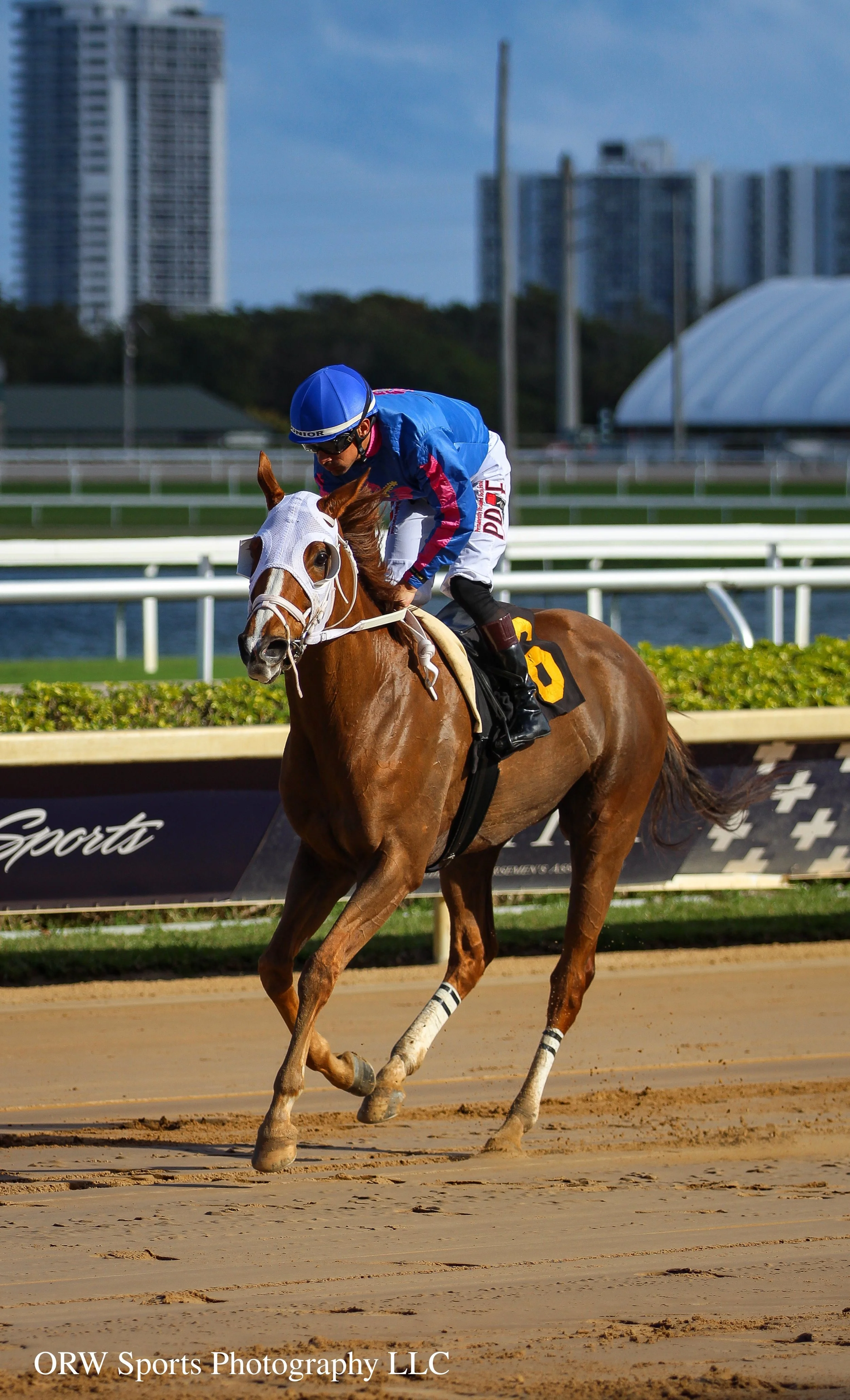 She Takes Cash and Junior Alvarado 