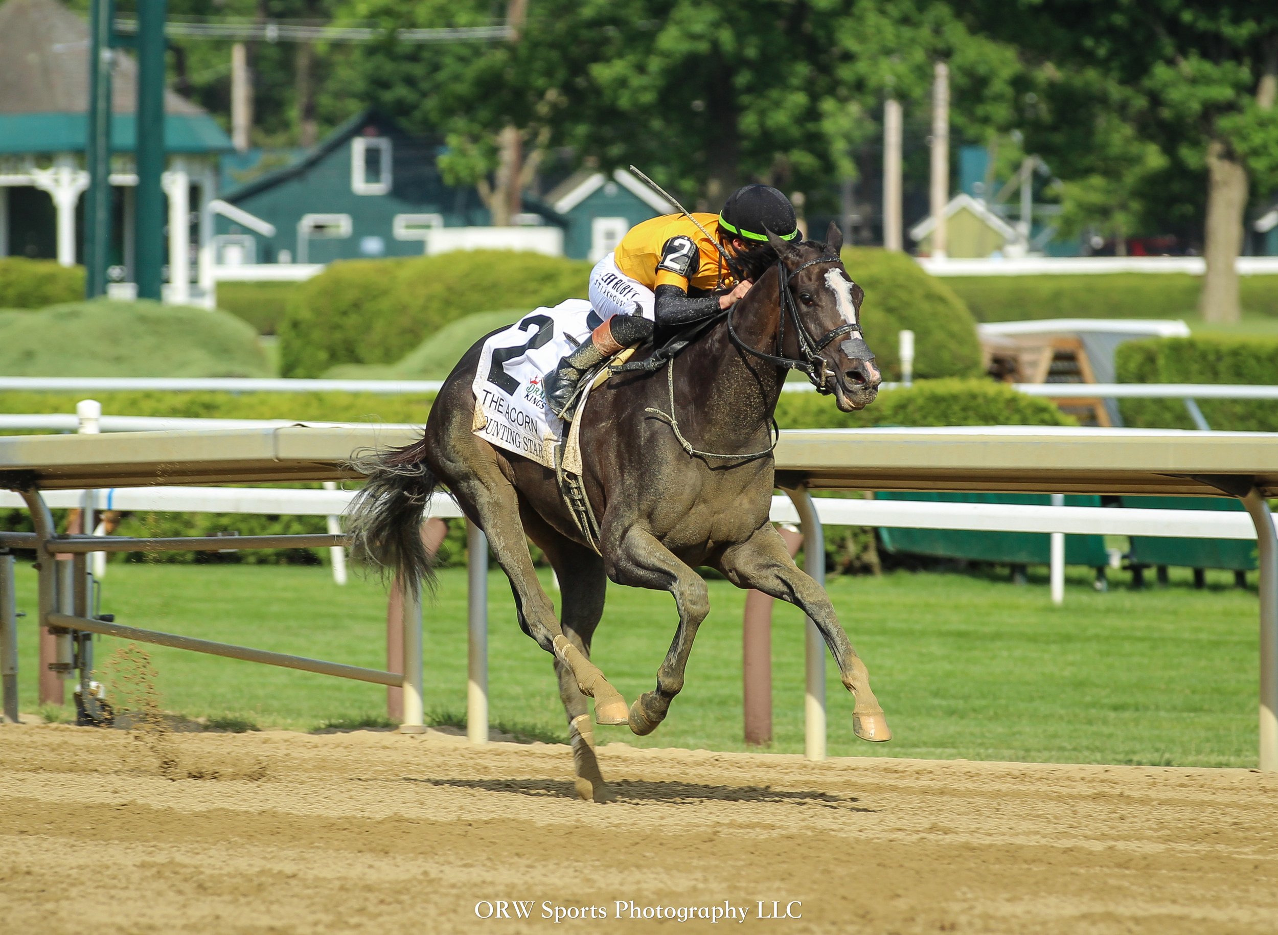 Counting Stars and Irad Ortiz Jr