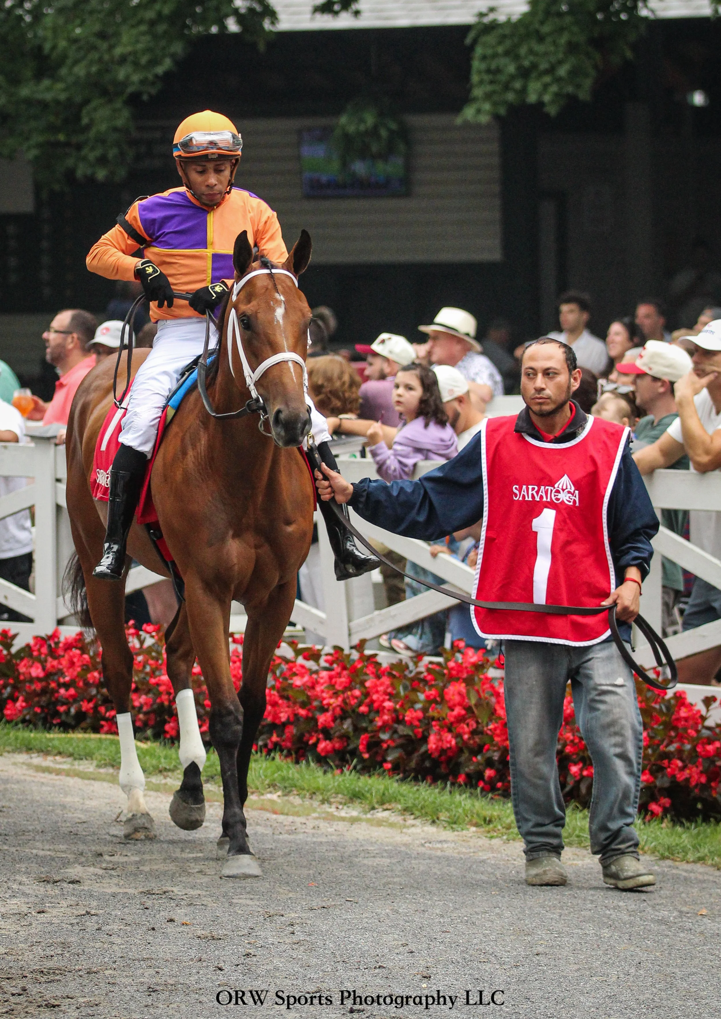 Effusive, daughter of MG1W and Eclipse Champion Monomoy Girl. Manny Franco aboard. 