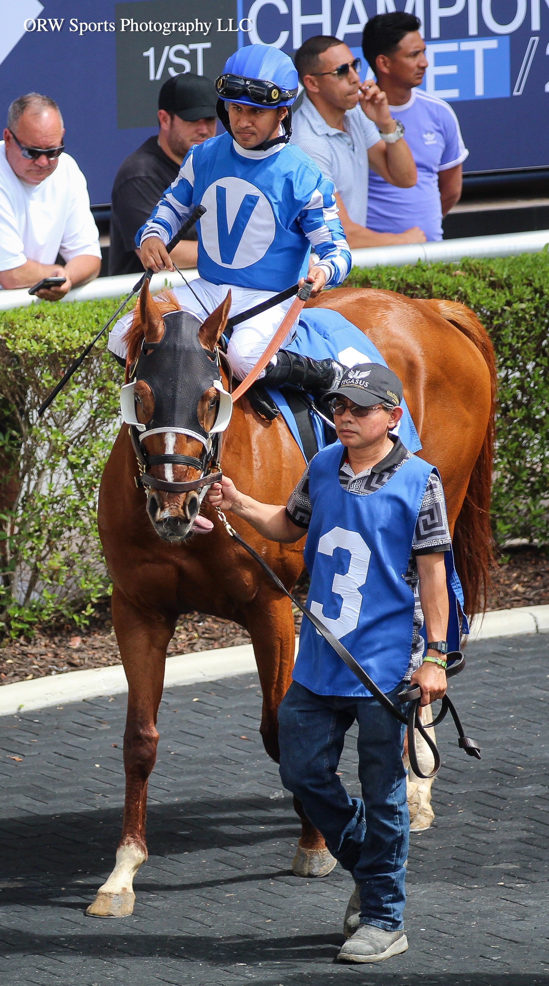 Migratory and Miguel Vasquez 