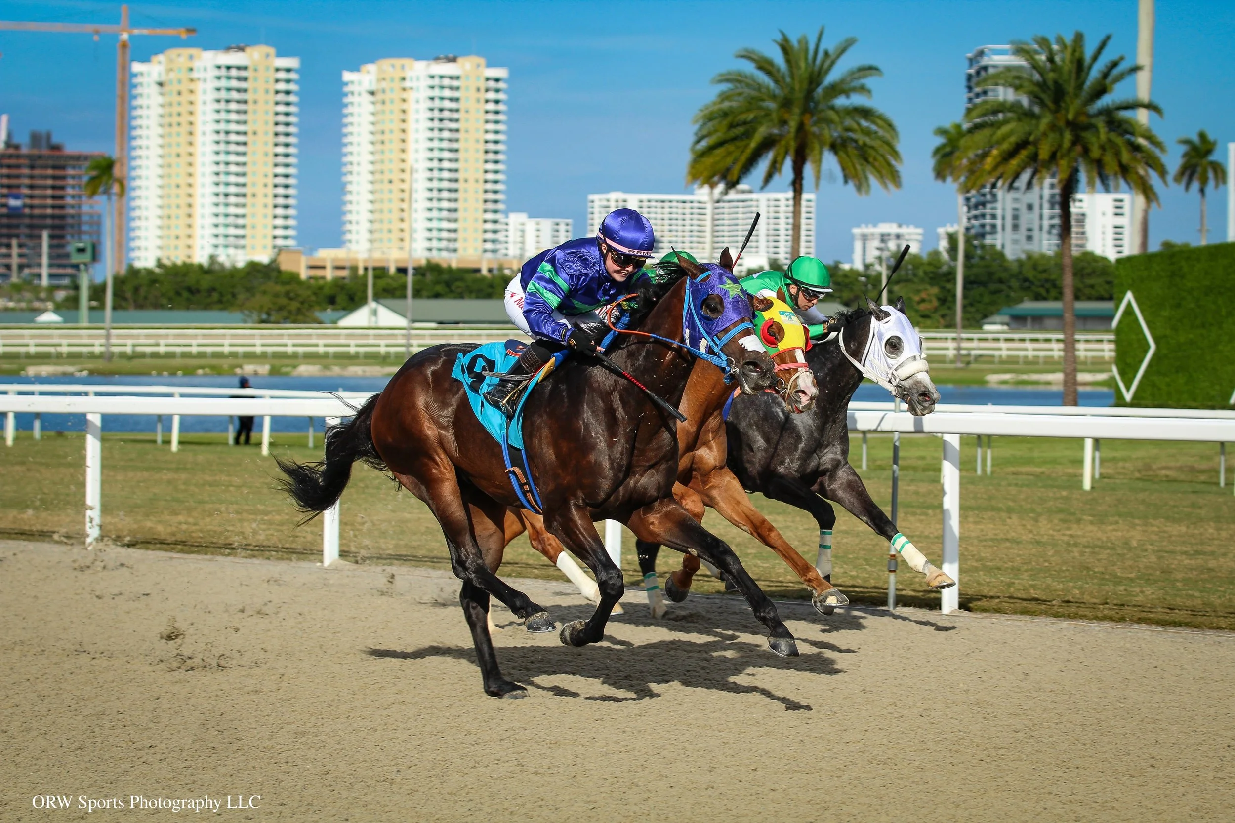 Valid Sense and Mia Nicholls charge past rivals to take race 7. 