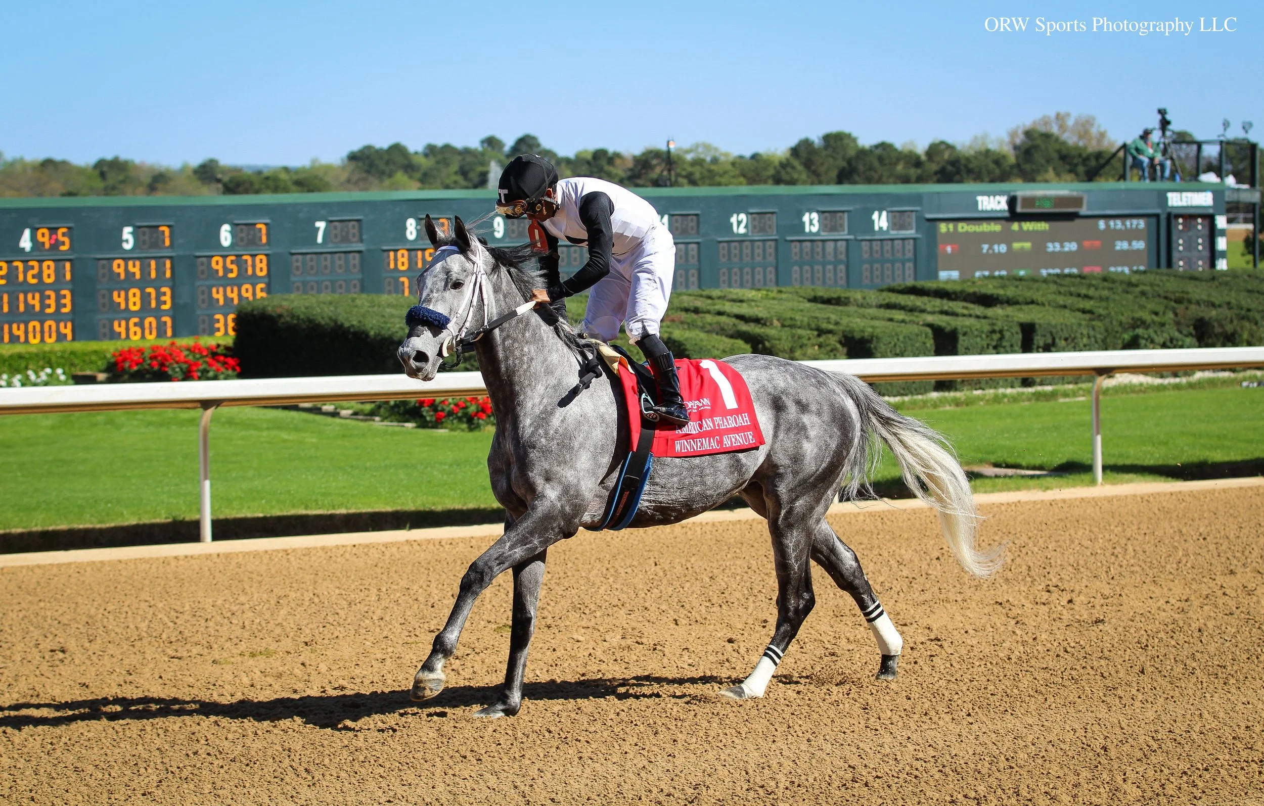 Winnemac Avenue and Luis Saez 
