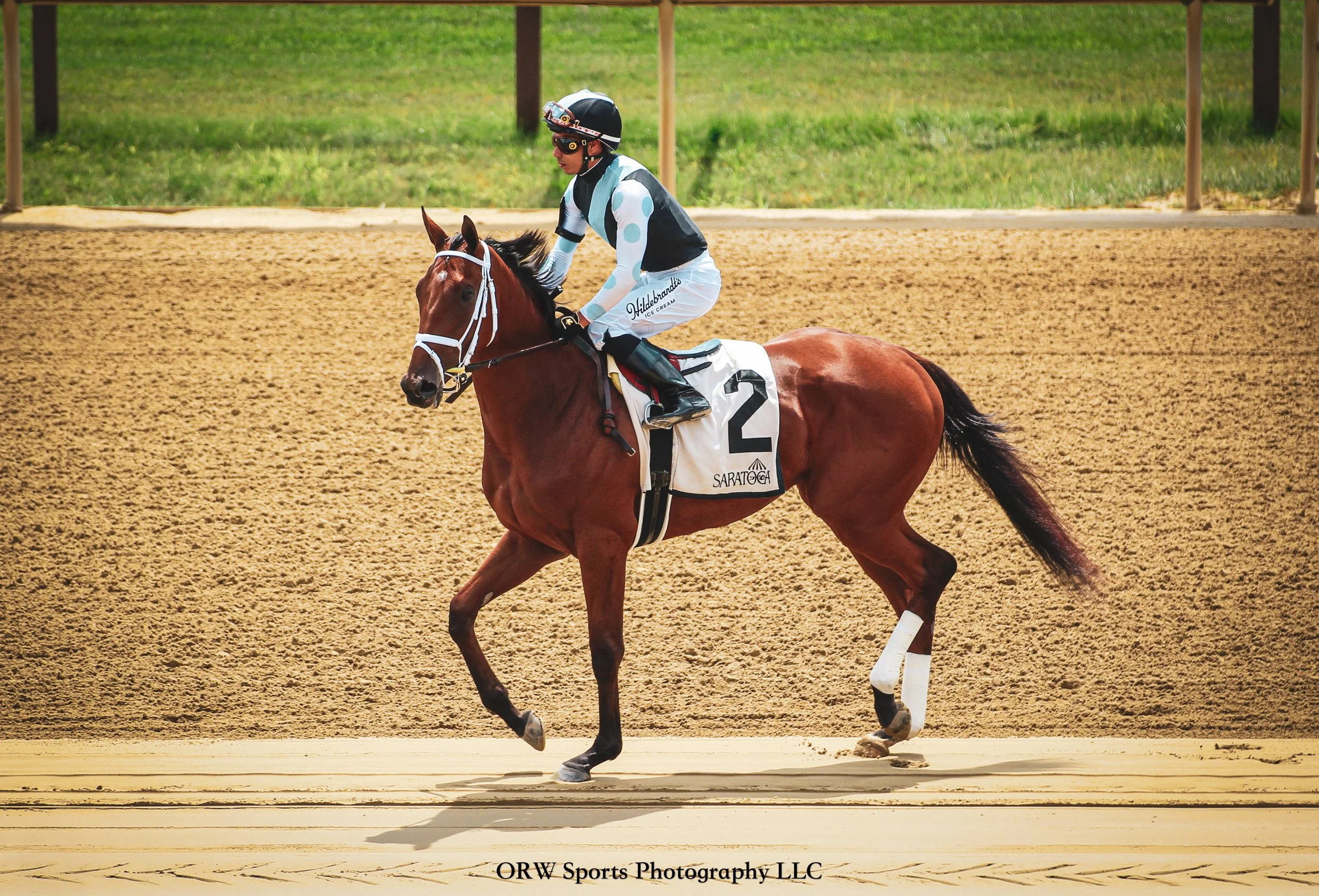 Bashfully and Jose Ortiz 