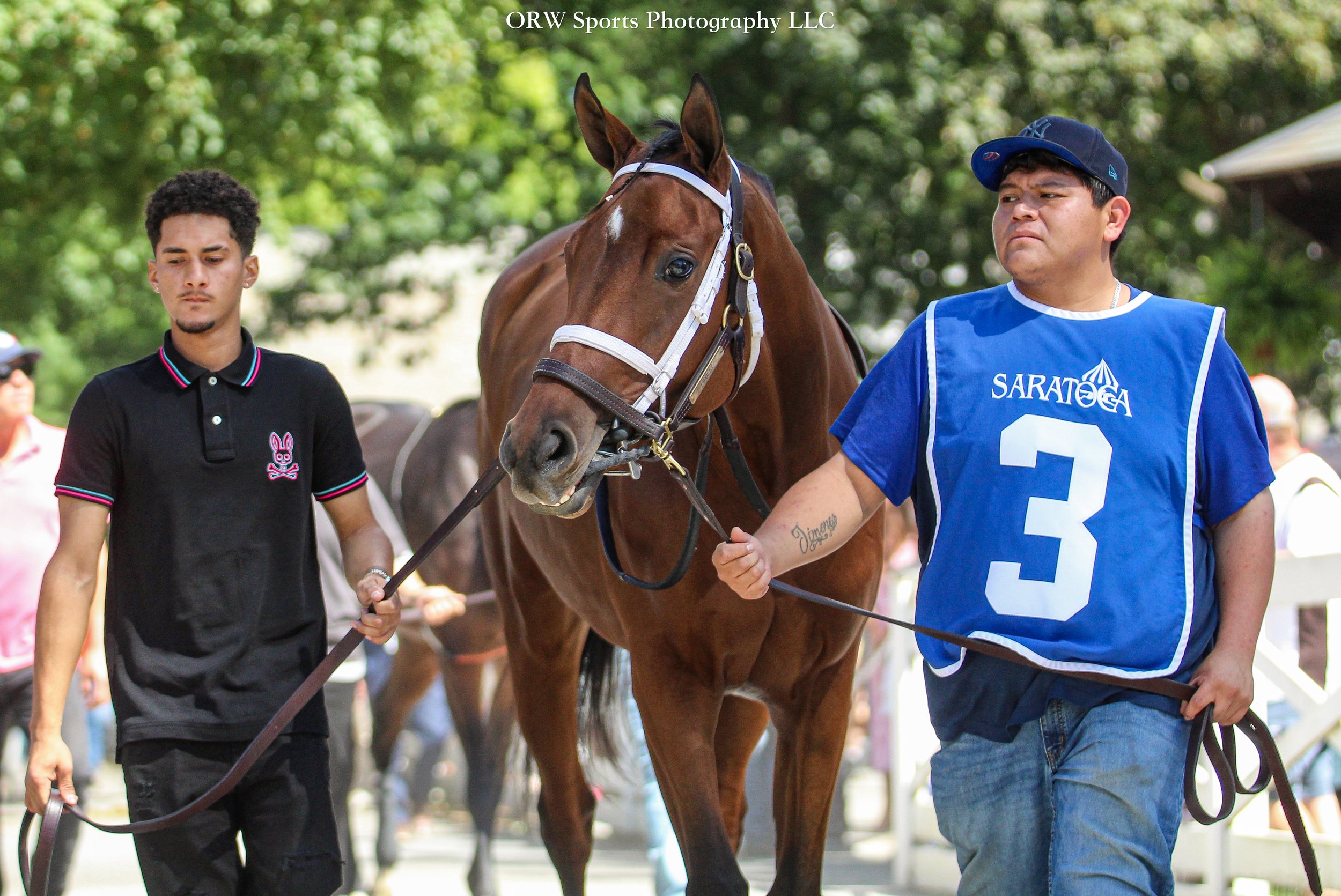 Foxiest. Both of her parents are Breeders' Cup Champions, making her a regally bred filly. Her father, Gun Runner, won the Classic in 2017 and would go on to be an Eclipse Champion and now a leading sire. Her mother, Covfefe, won the Filly and Mare S
