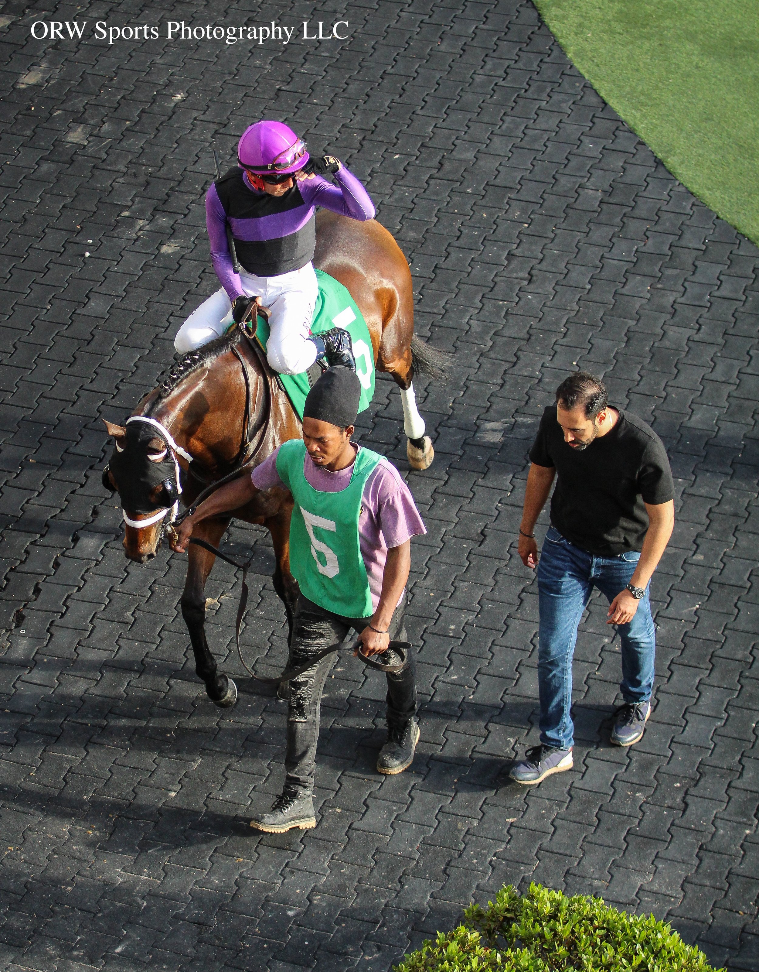 Pemberley, Jorge Ruiz, and Jose D' Angelo 