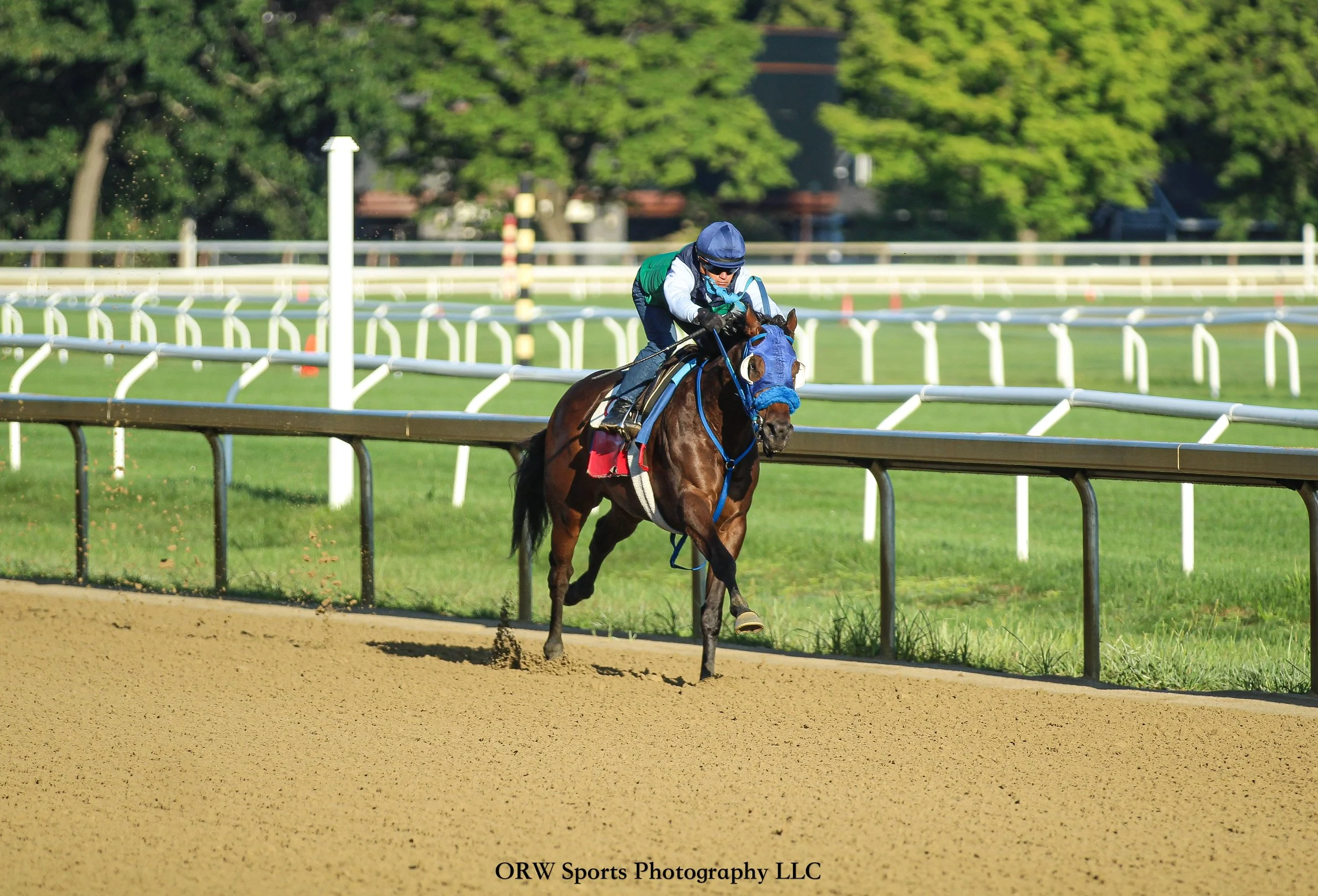 Glorious Boy and Javier Castellano