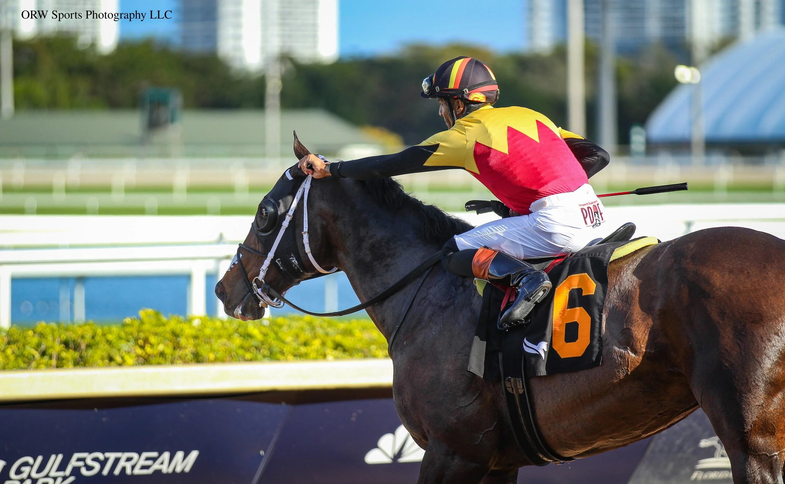 Boat's a Rockin and Edwin Gonzalez 