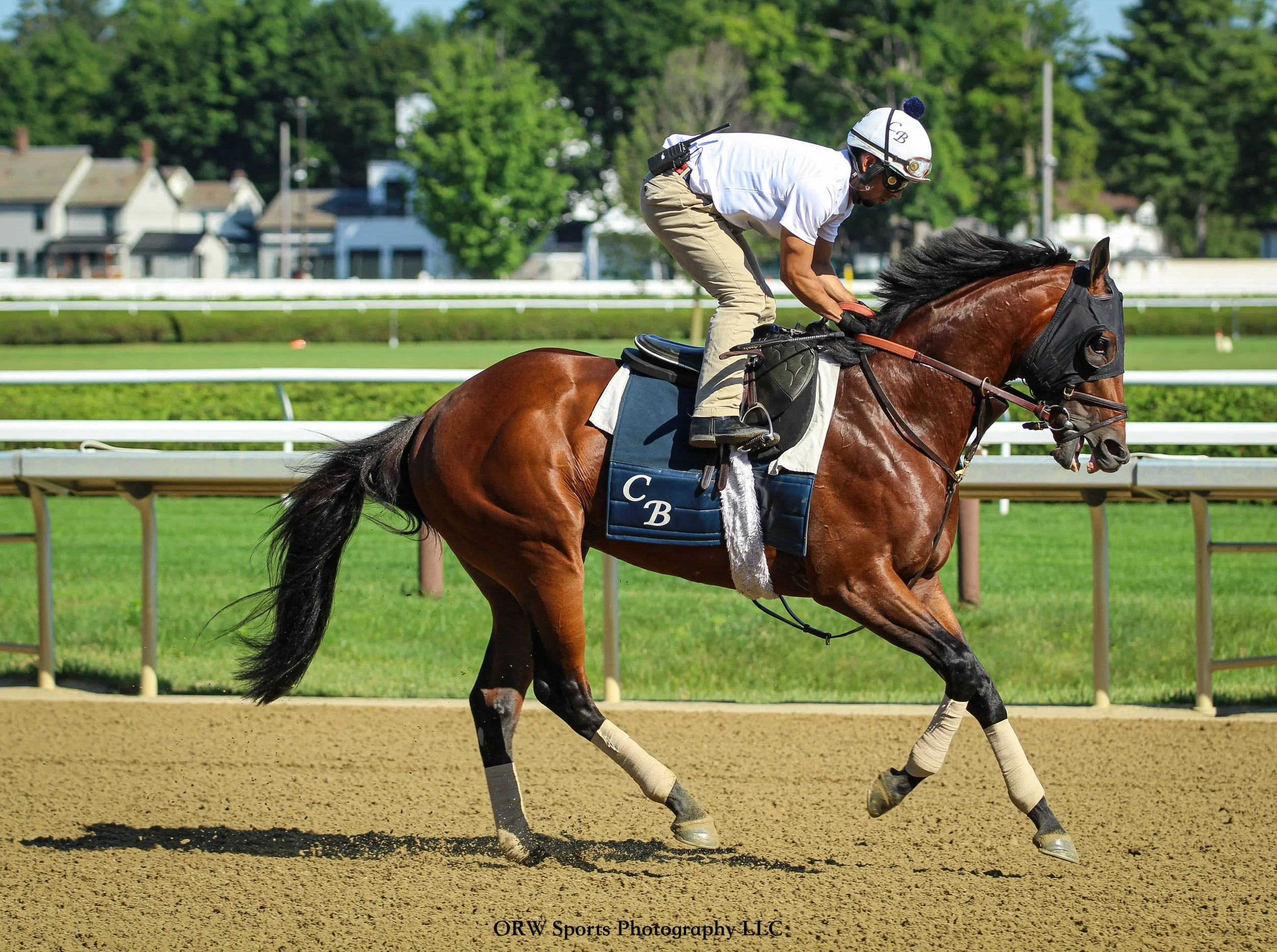 Chad Brown Trainee 