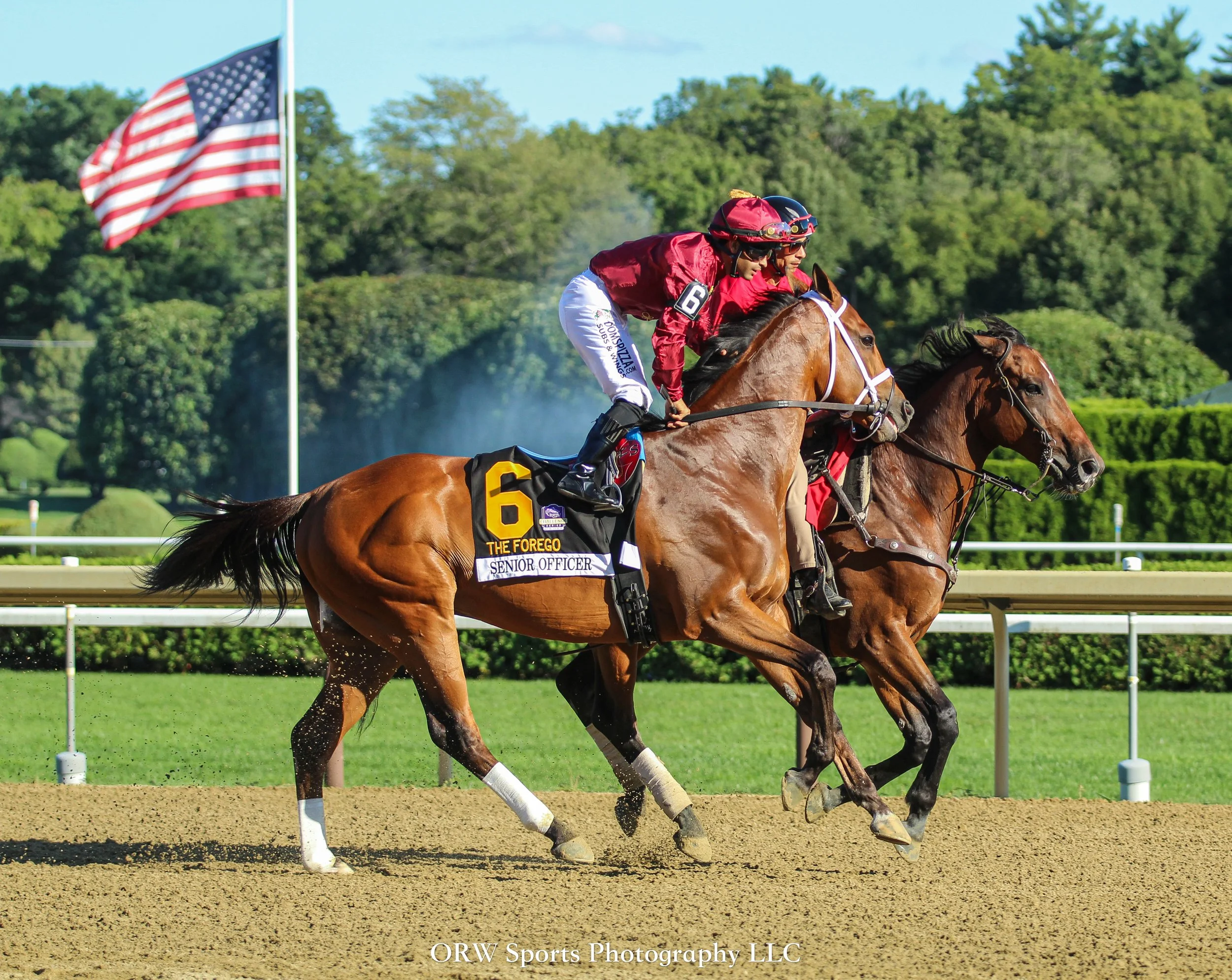 Senior Officer and Luis Saez 