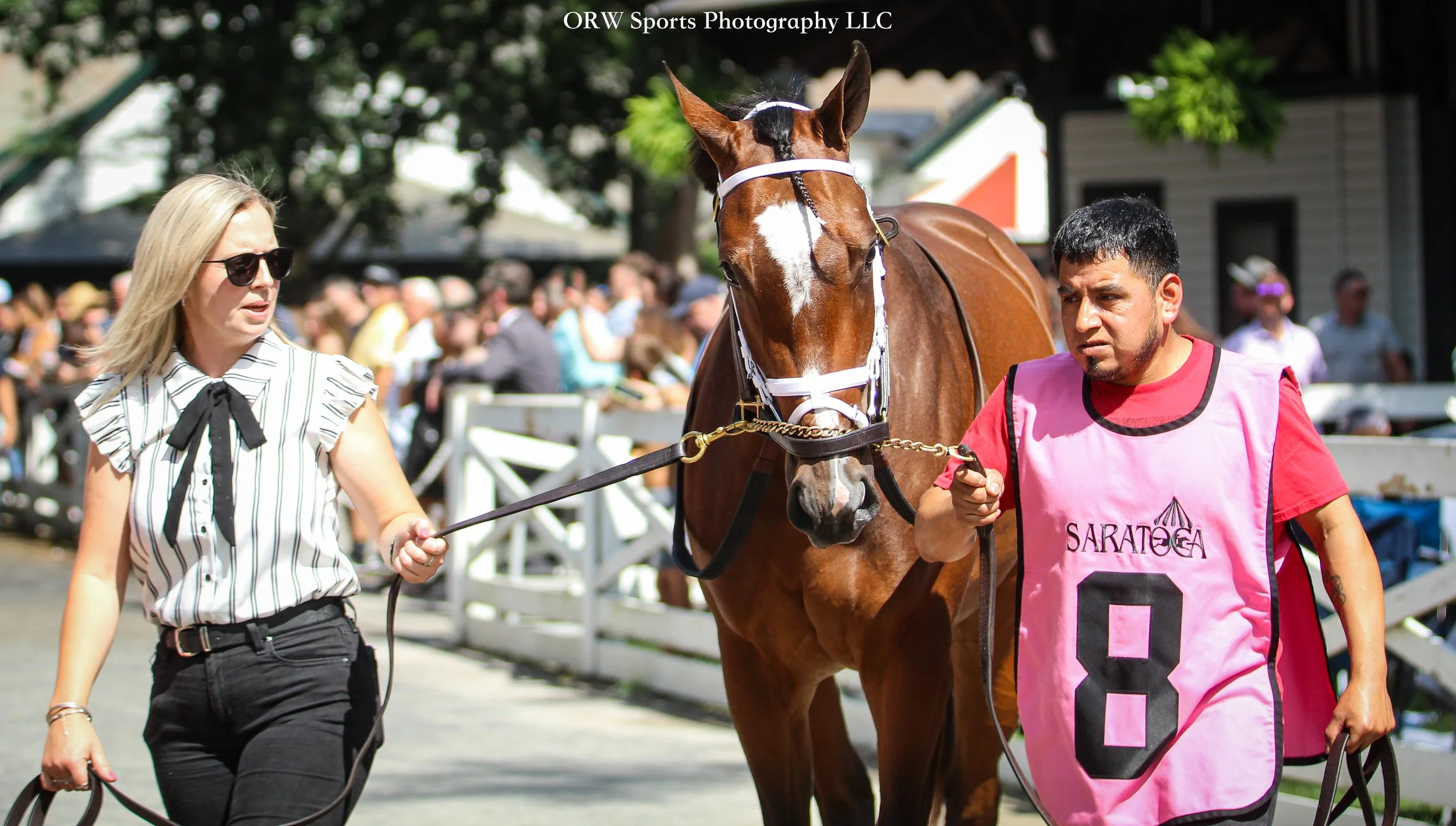 Tumoohaat. She is the first foal out of champion mare Malathaat. 