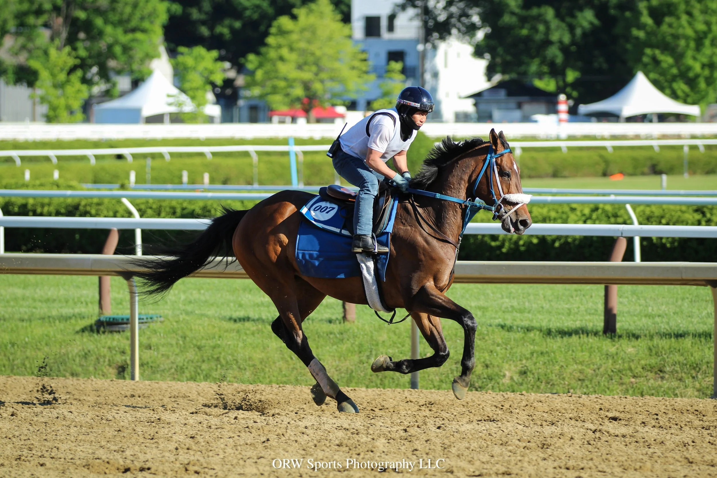 Petrolo. He finished third last time out at Belmont At The Big A 