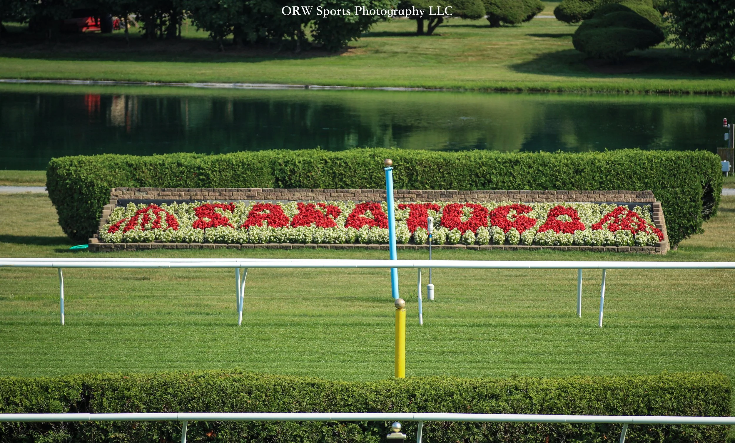 Saratoga Floral Bush.jpg