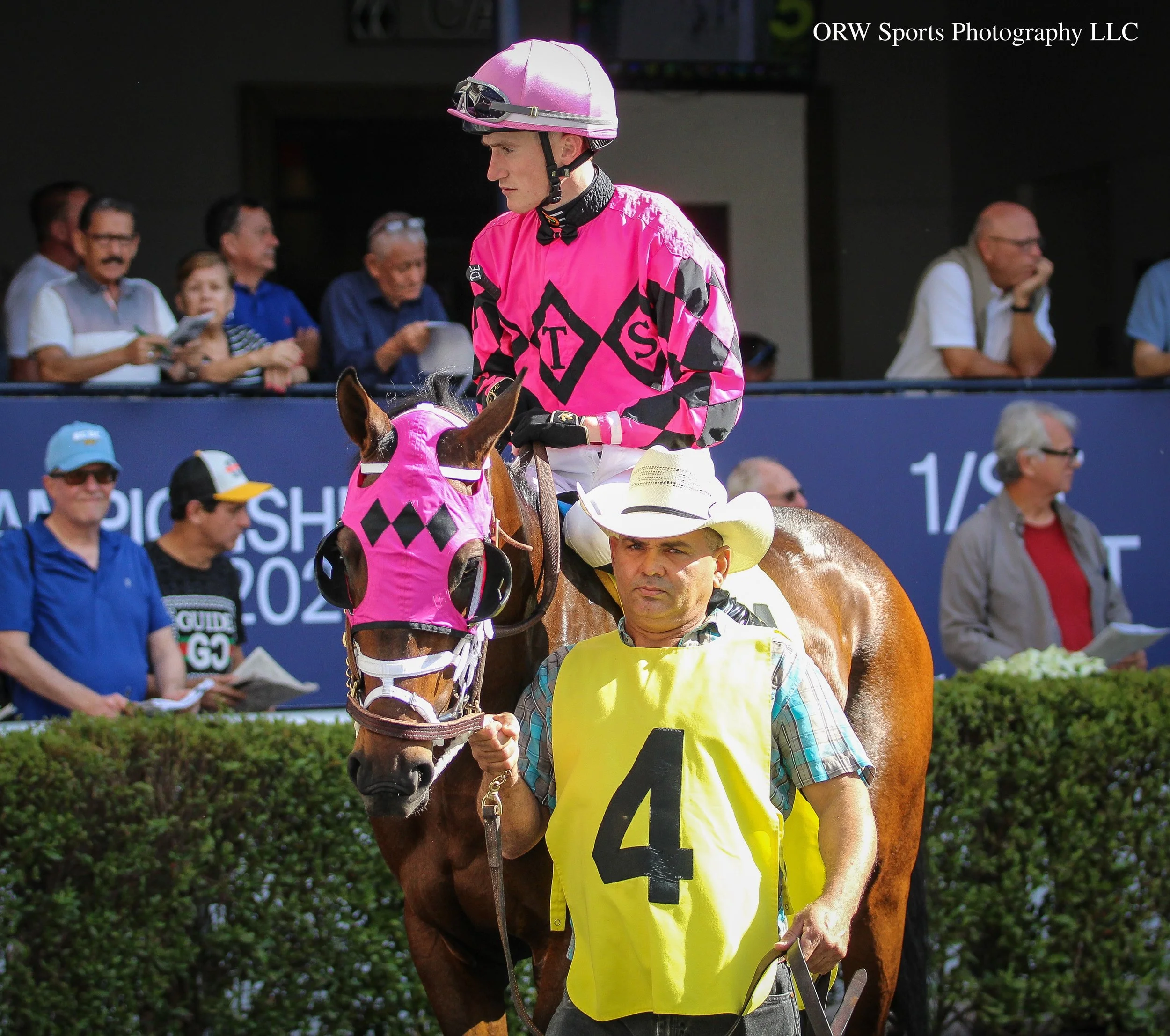 Fazzone and David Egan 