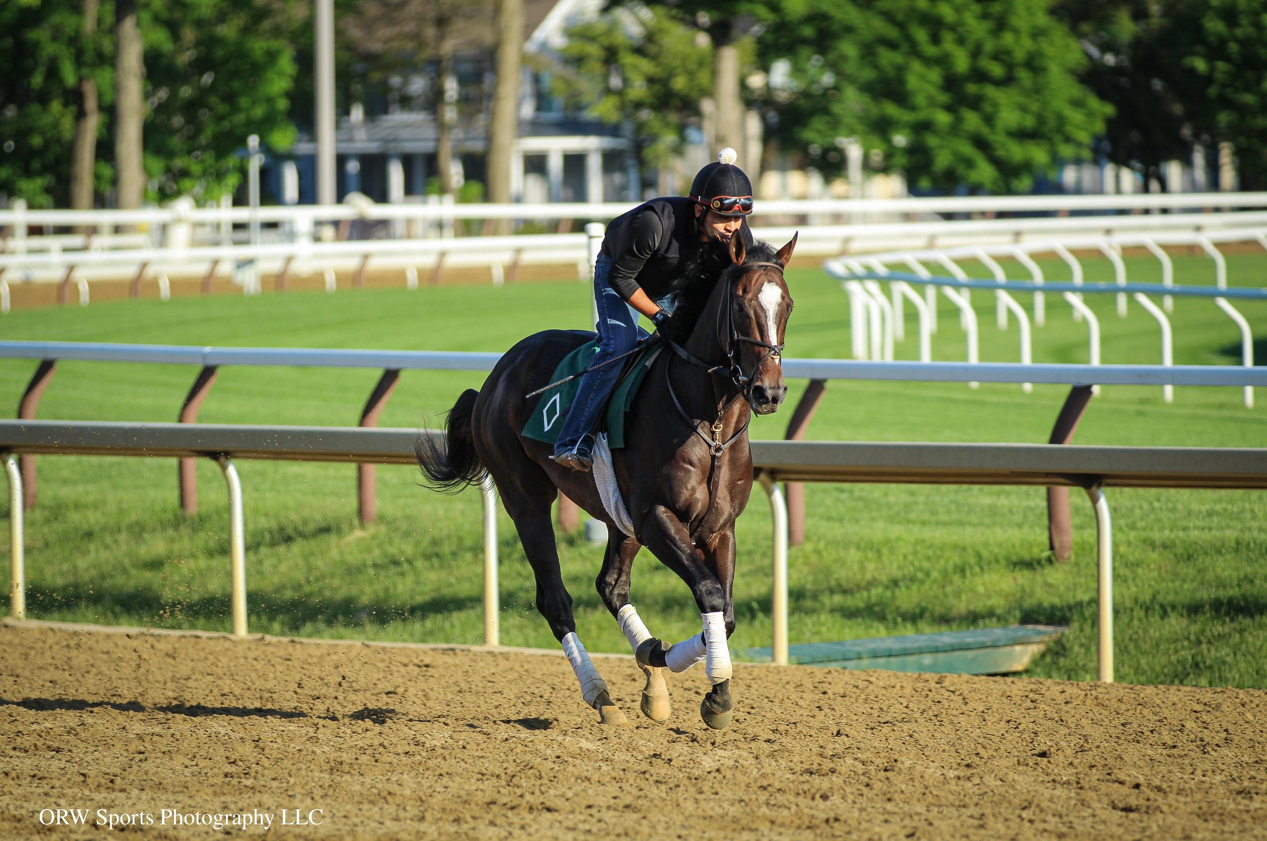 Chief Wallabee. He will be making his next start in the Grade 1 Belmont Stakes on June 6th 