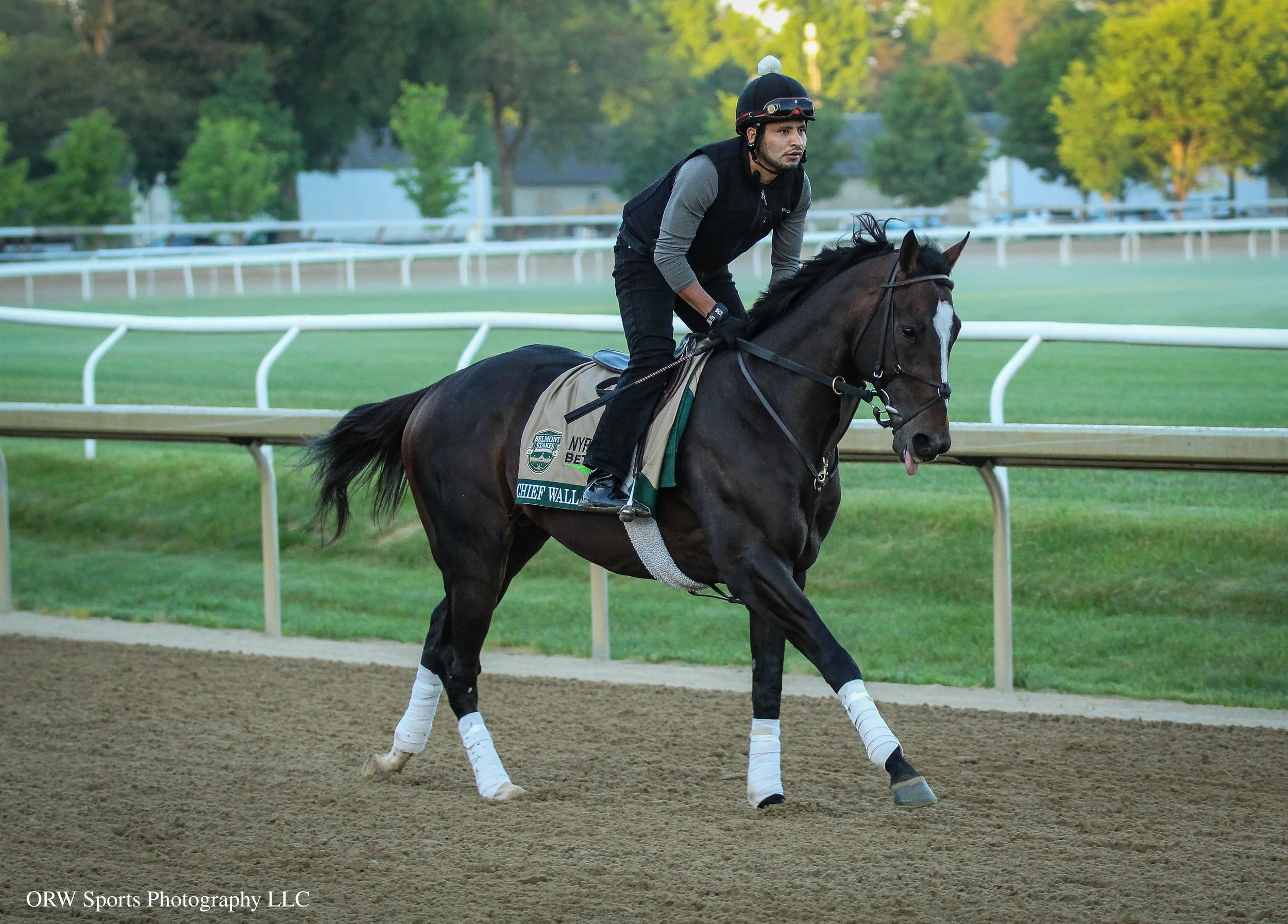 Chief Wallabee training ahead of his next start in the Grade 1 Belmont Stakes