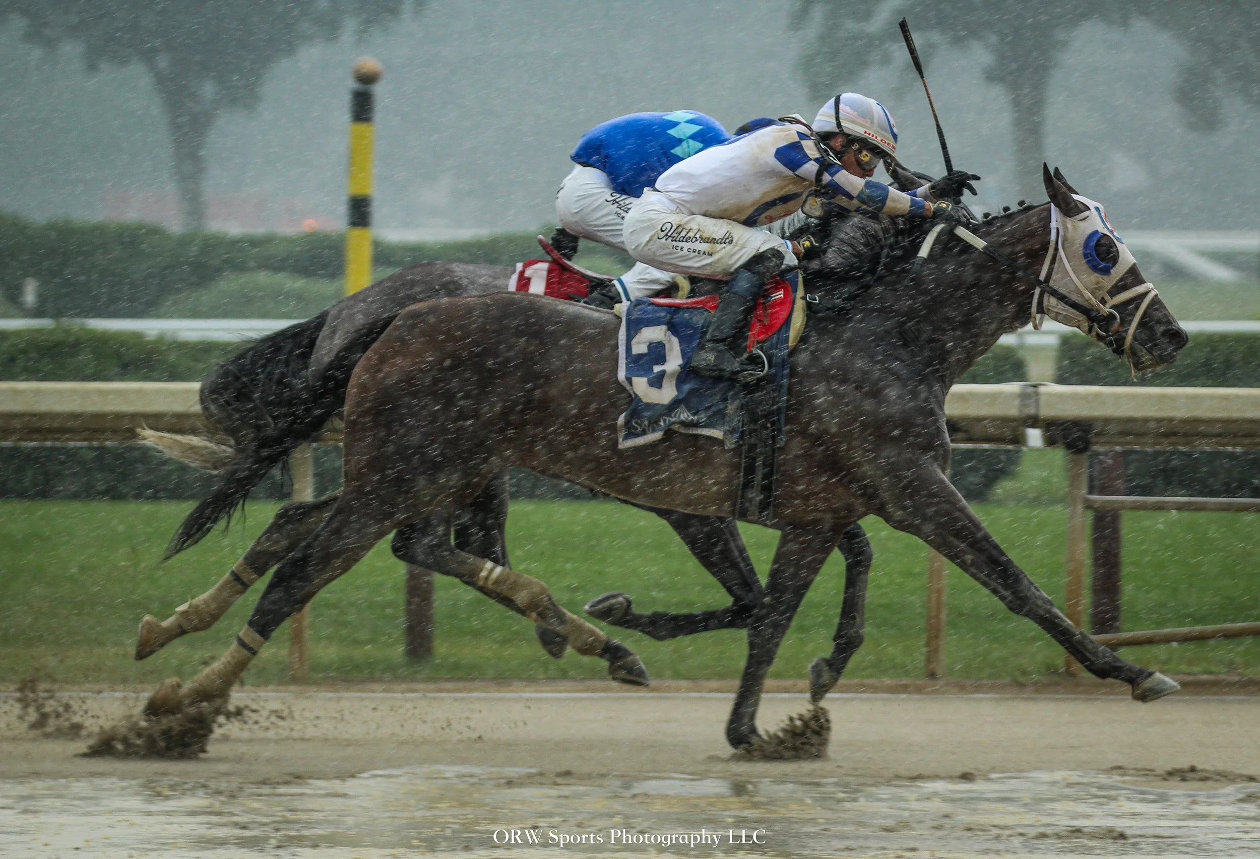 My Noble Night and Jose Ortiz 