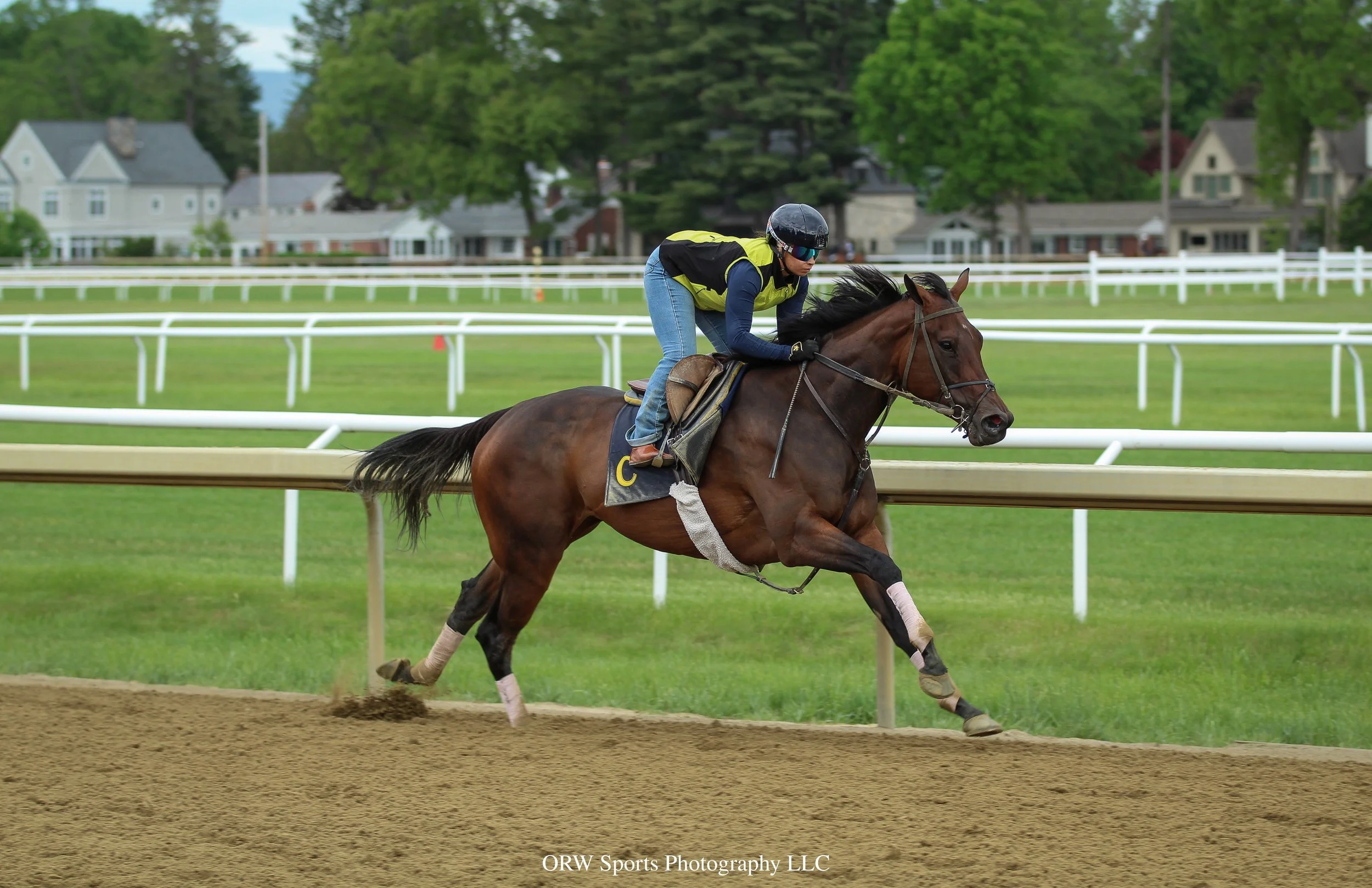 Bellezza breezing for trainer Miguel Clement 