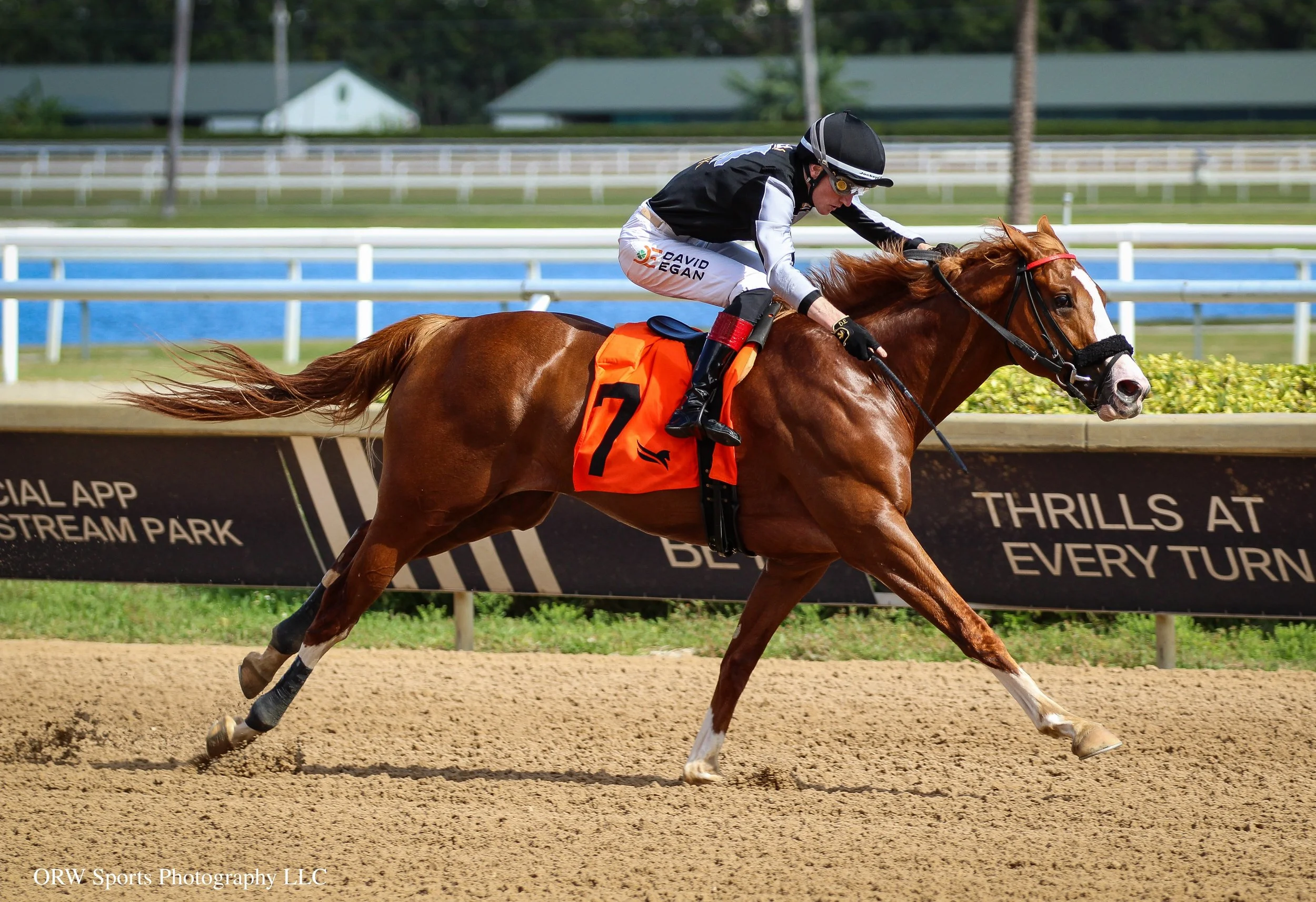 Kazooza and David Egan 