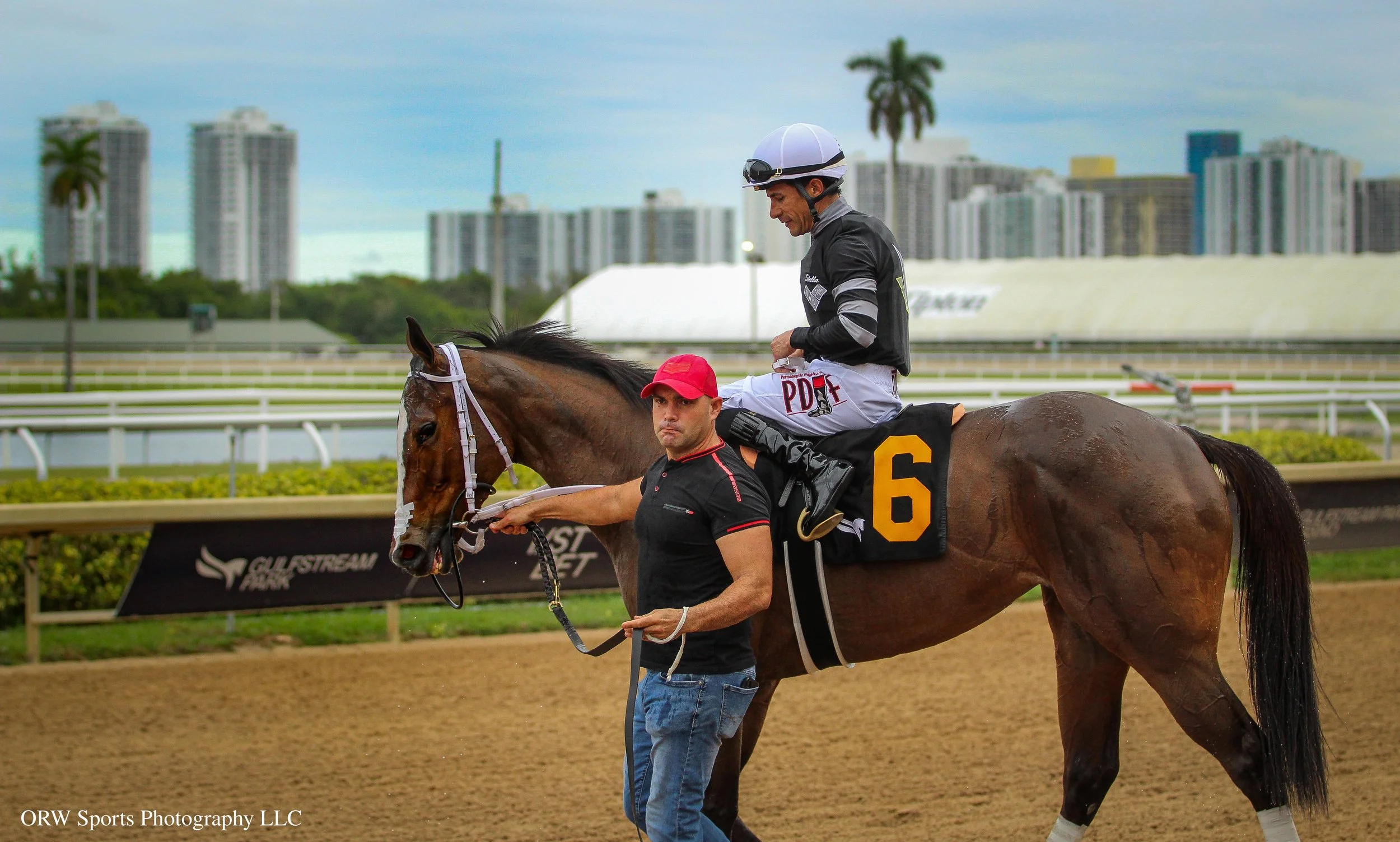 Le Amazonia and Junior Alvarado 