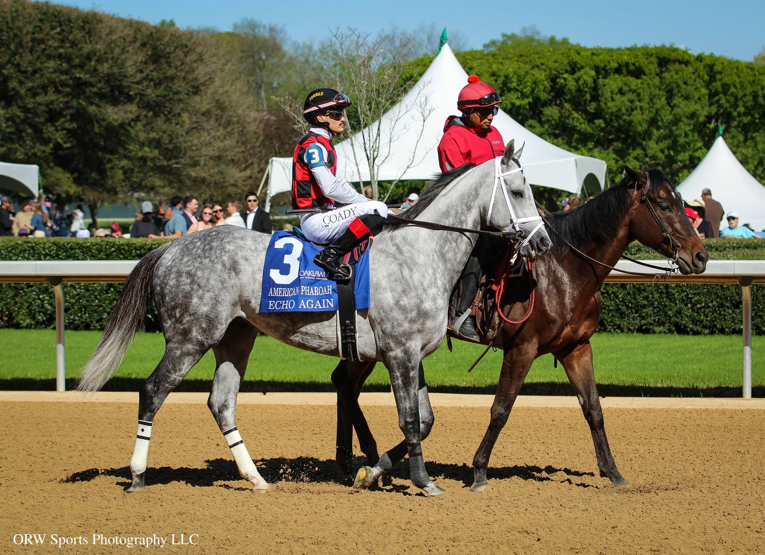 Echo Again and Cristian Torres 
