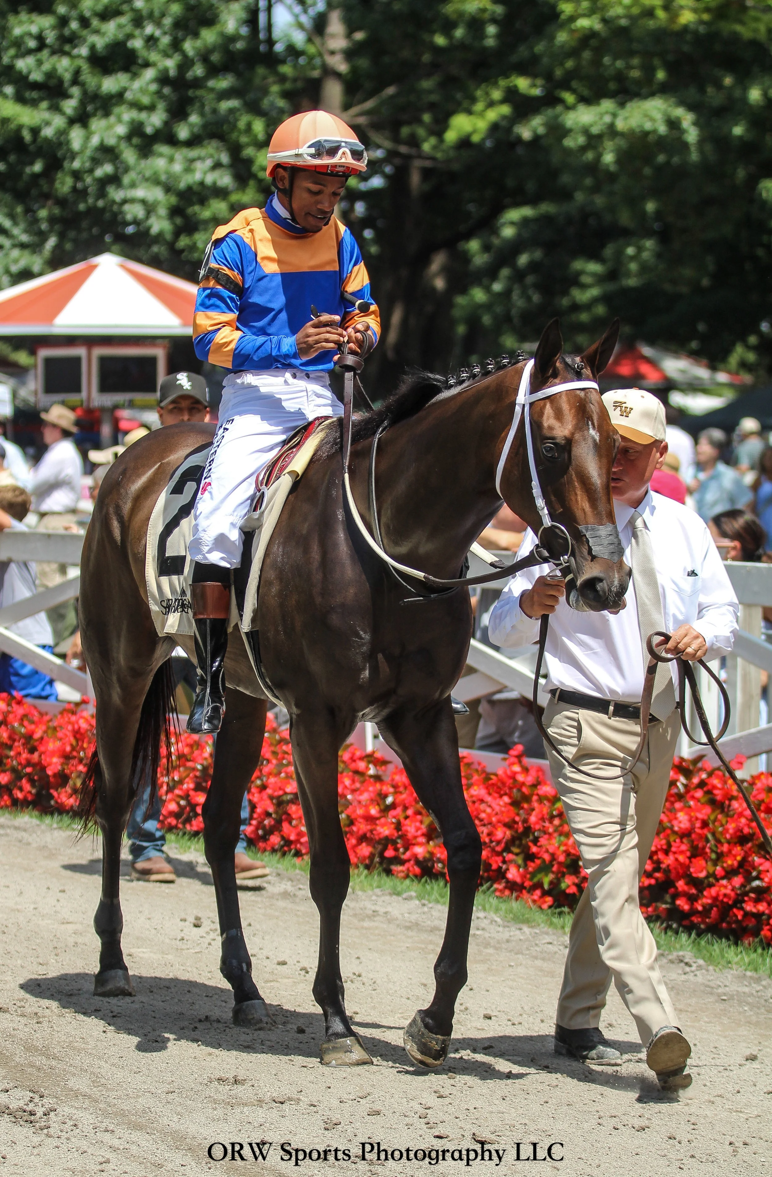 Annotate and Ricardo Santana Jr 