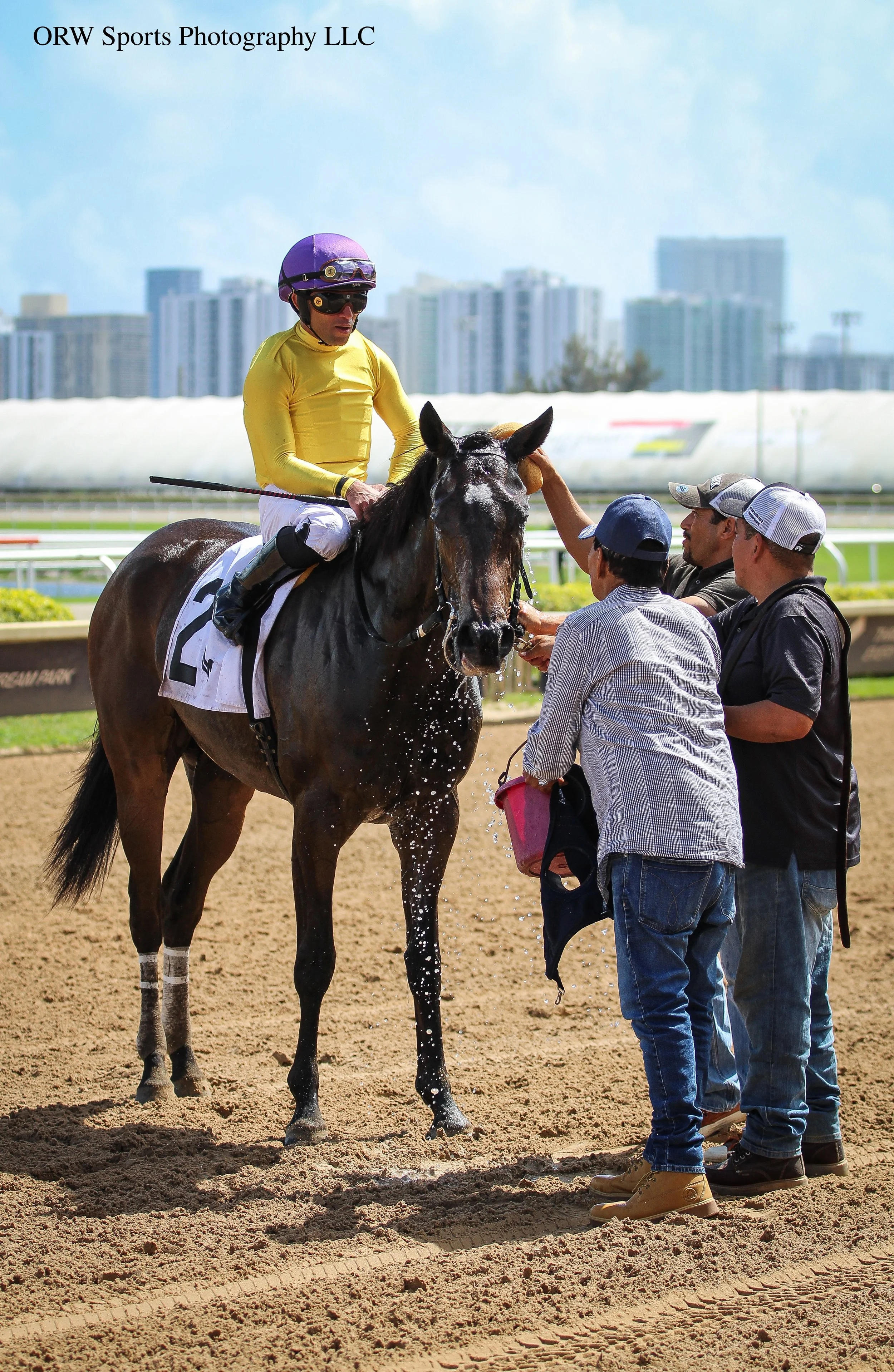 Chicken Dance and Joel Rosario 