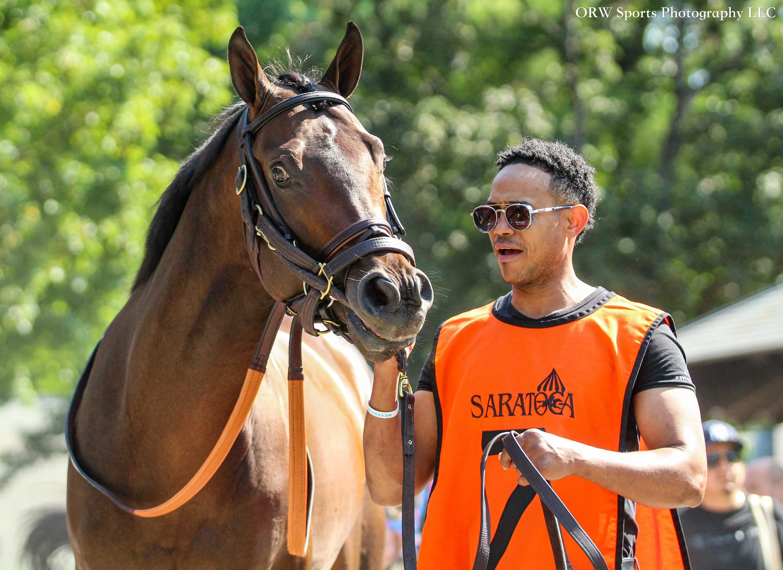 Club Reign. He is owned by NFL-Superstar Russell Wilson and his wife, Ciara. 