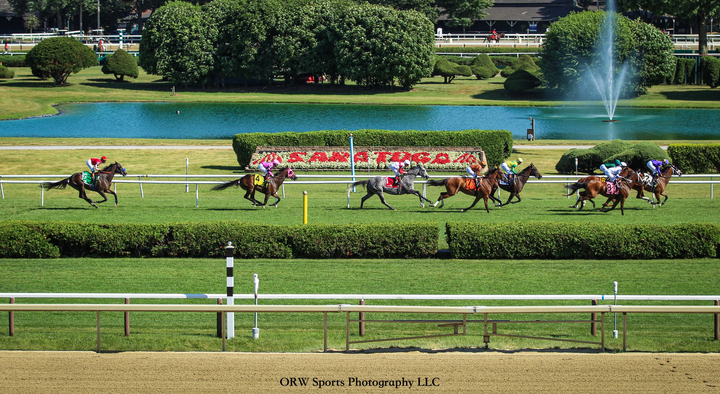 Race 6 