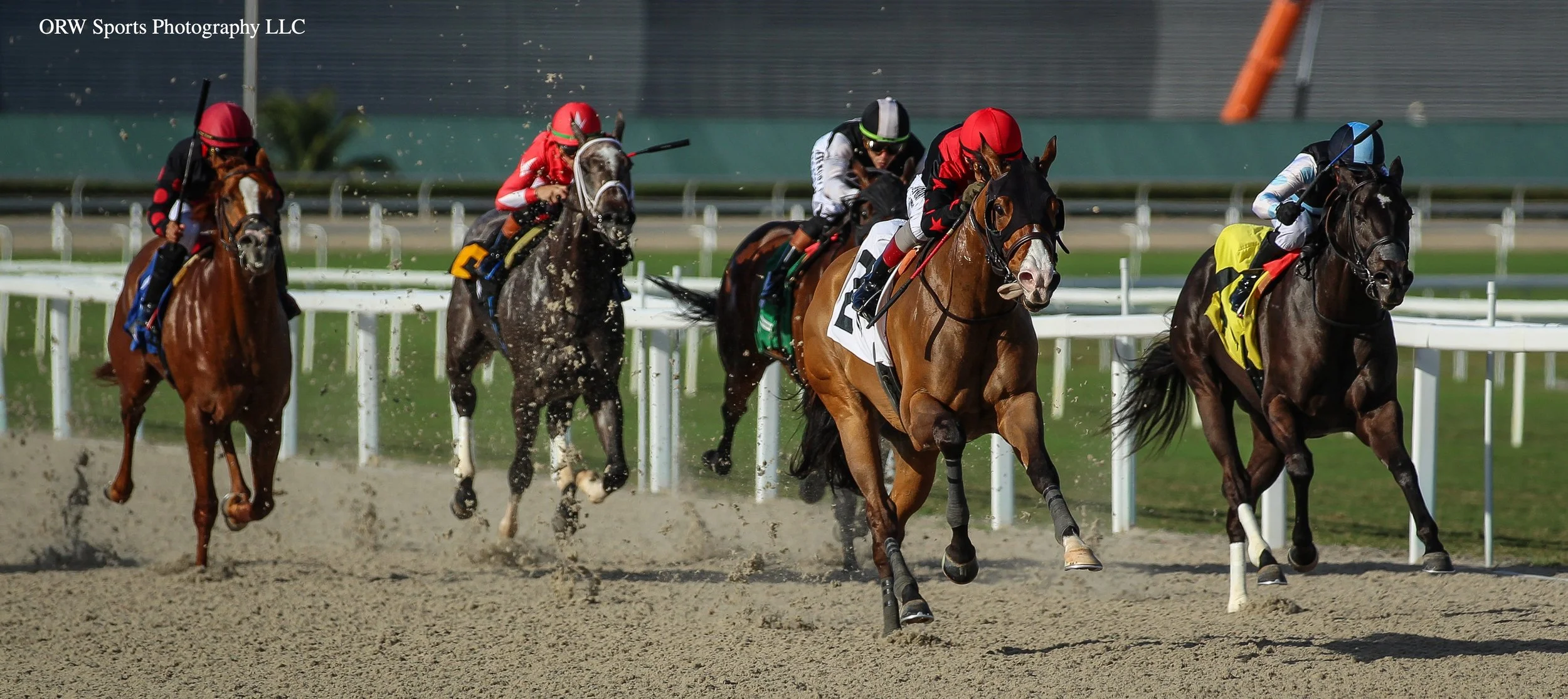 Rebel With a Cause leads from challengers 