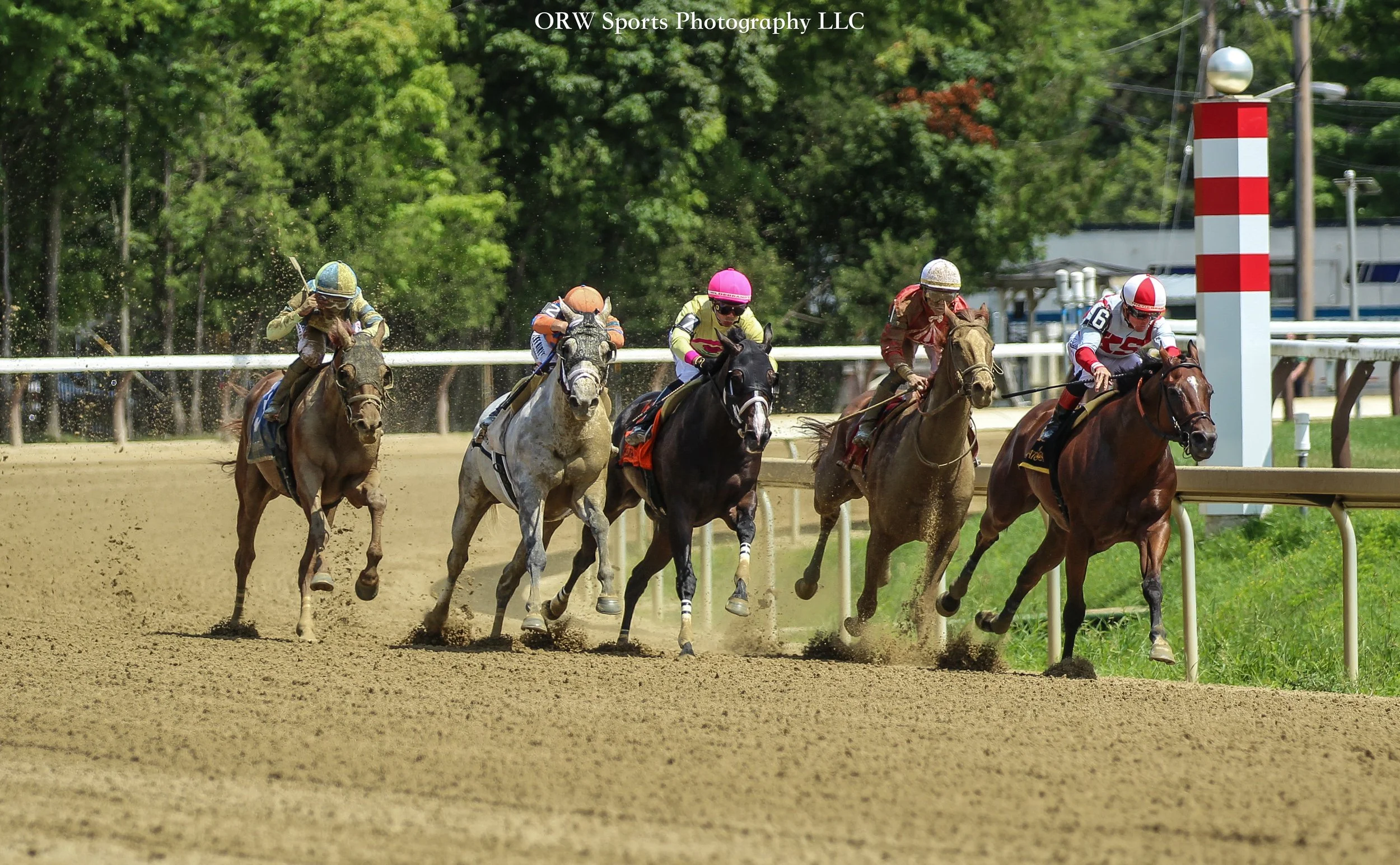 Race 3 