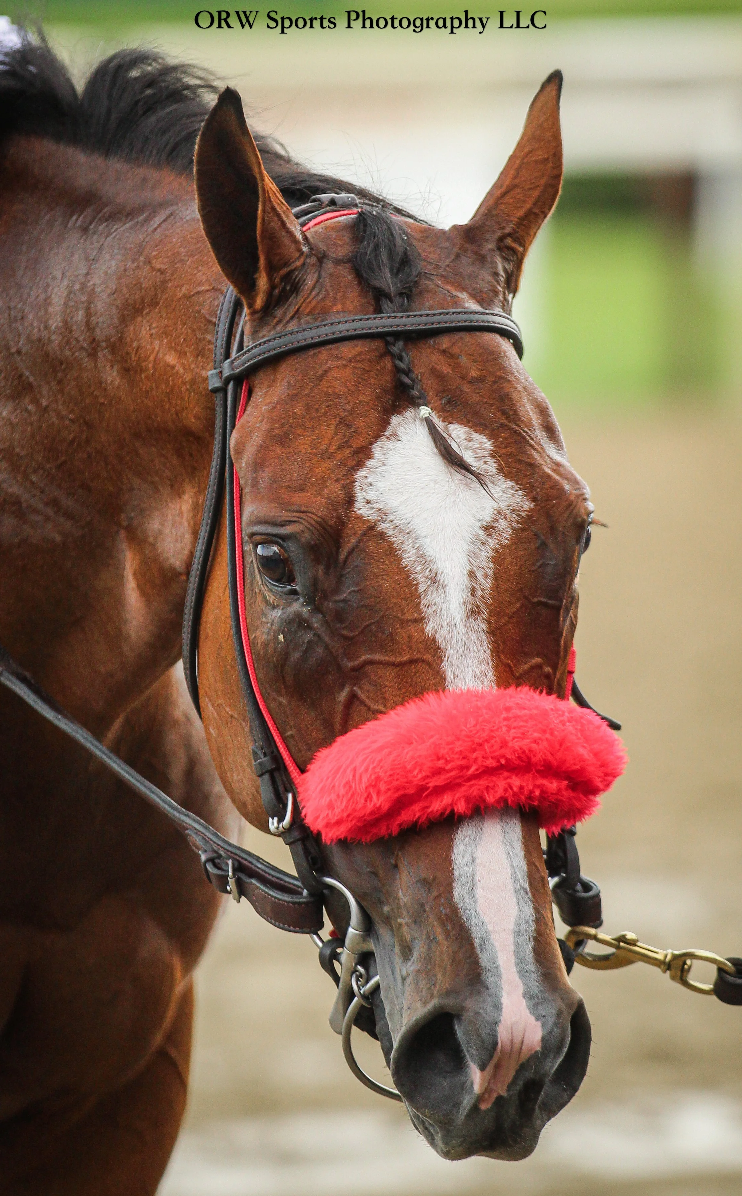 race winner