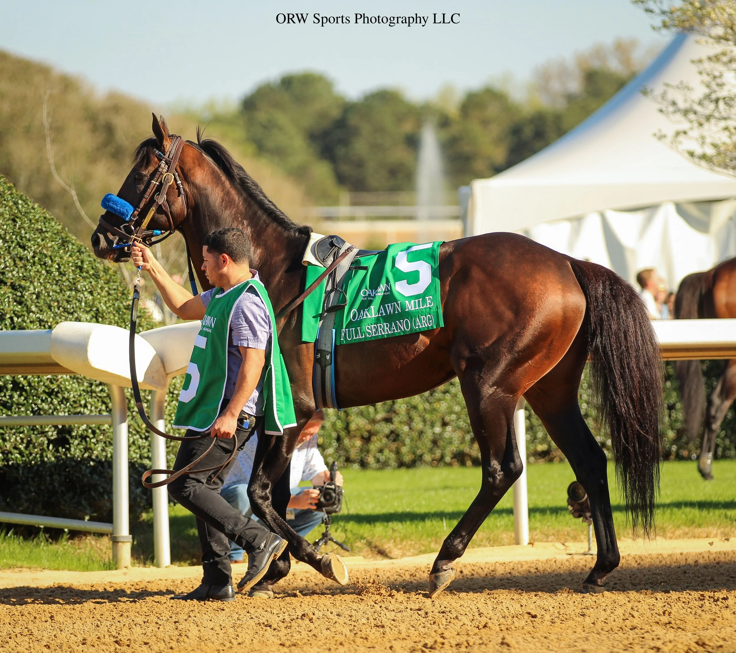 2024 Breeders Cup Dirt Mile winner, Full Serrano 