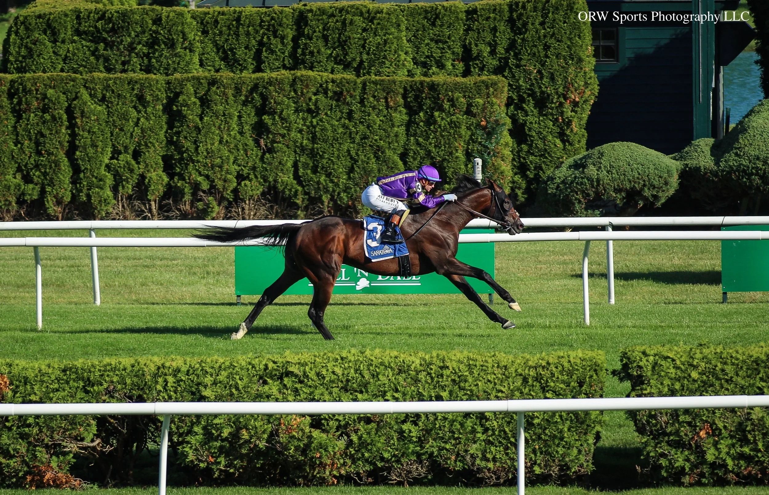 Tawny Port wins the Grade 2 Belmont Gold Cup, punching his ticket to the Melbourne Cup. Flavien Prat aboard for trainer Miguel Clement.