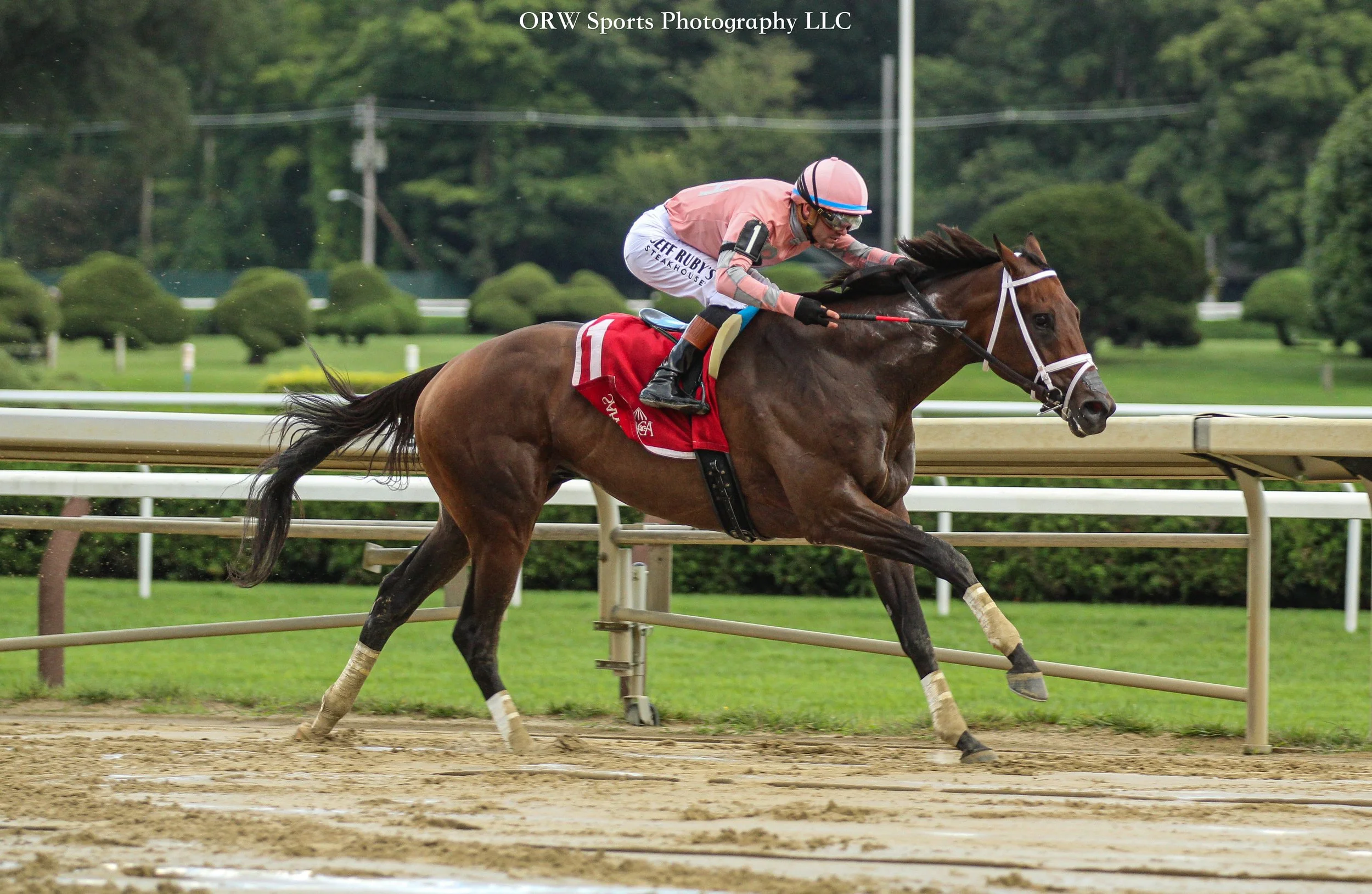 Tricky Business wins the Albany in convincing fashion. He gets his first stakes win with Flavien Prat aboard for trainer George Weaver 