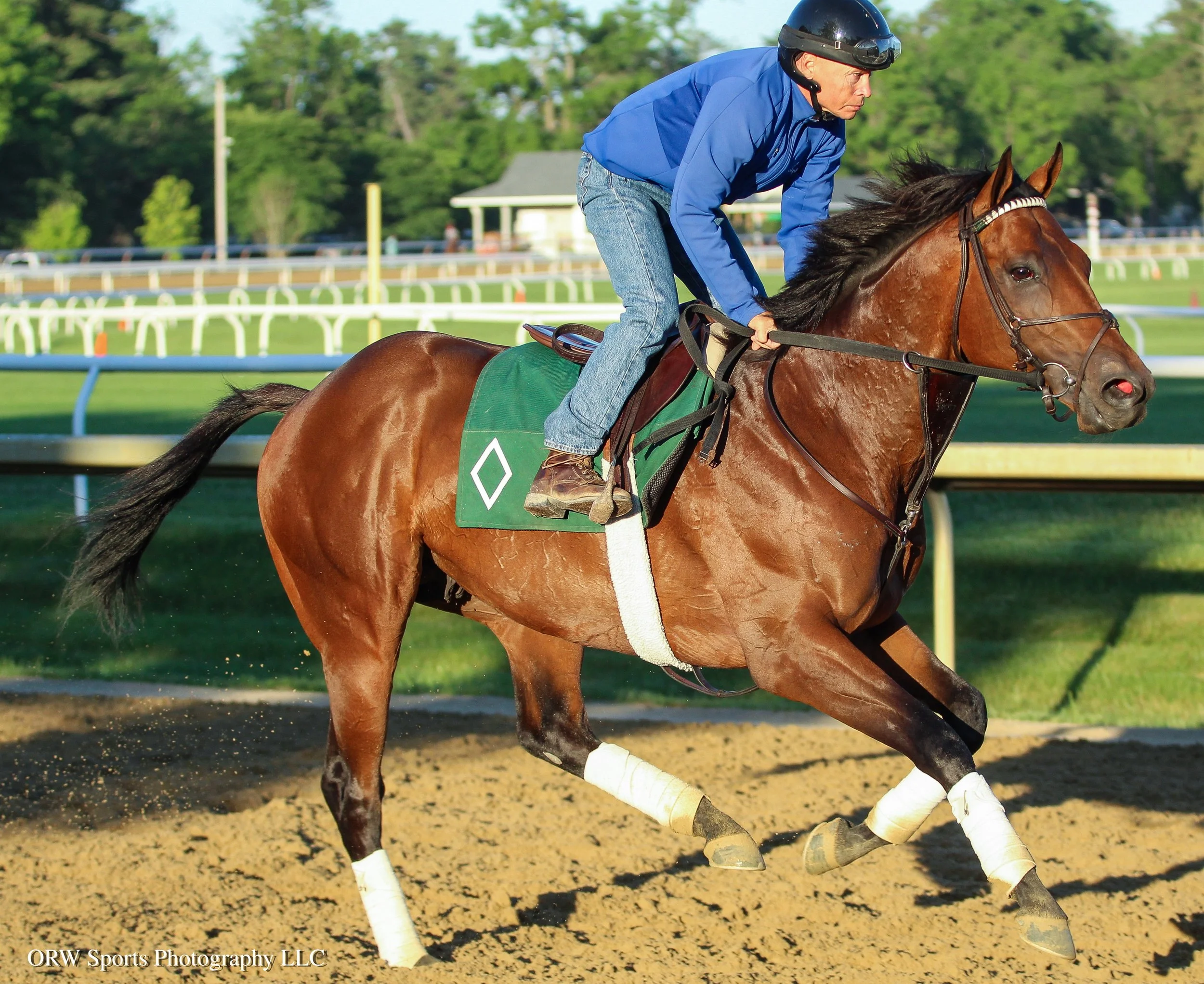 Spiced Up. He won the Grade 3 Mahoney Stakes last year