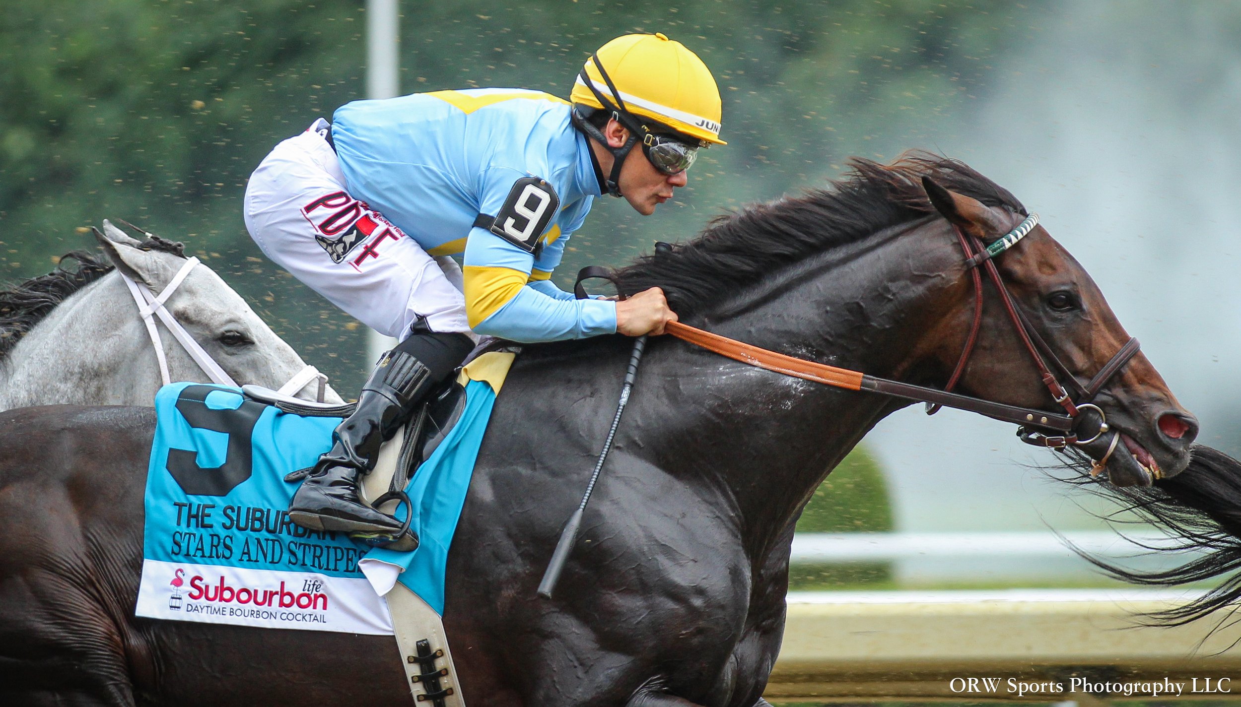 Stars and Stripes and Junior Alvarado