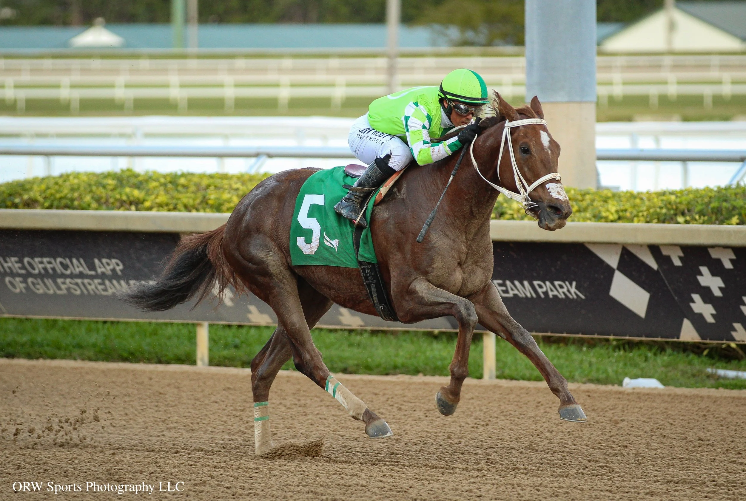 St. Olaf Rose and Javier Castellano 